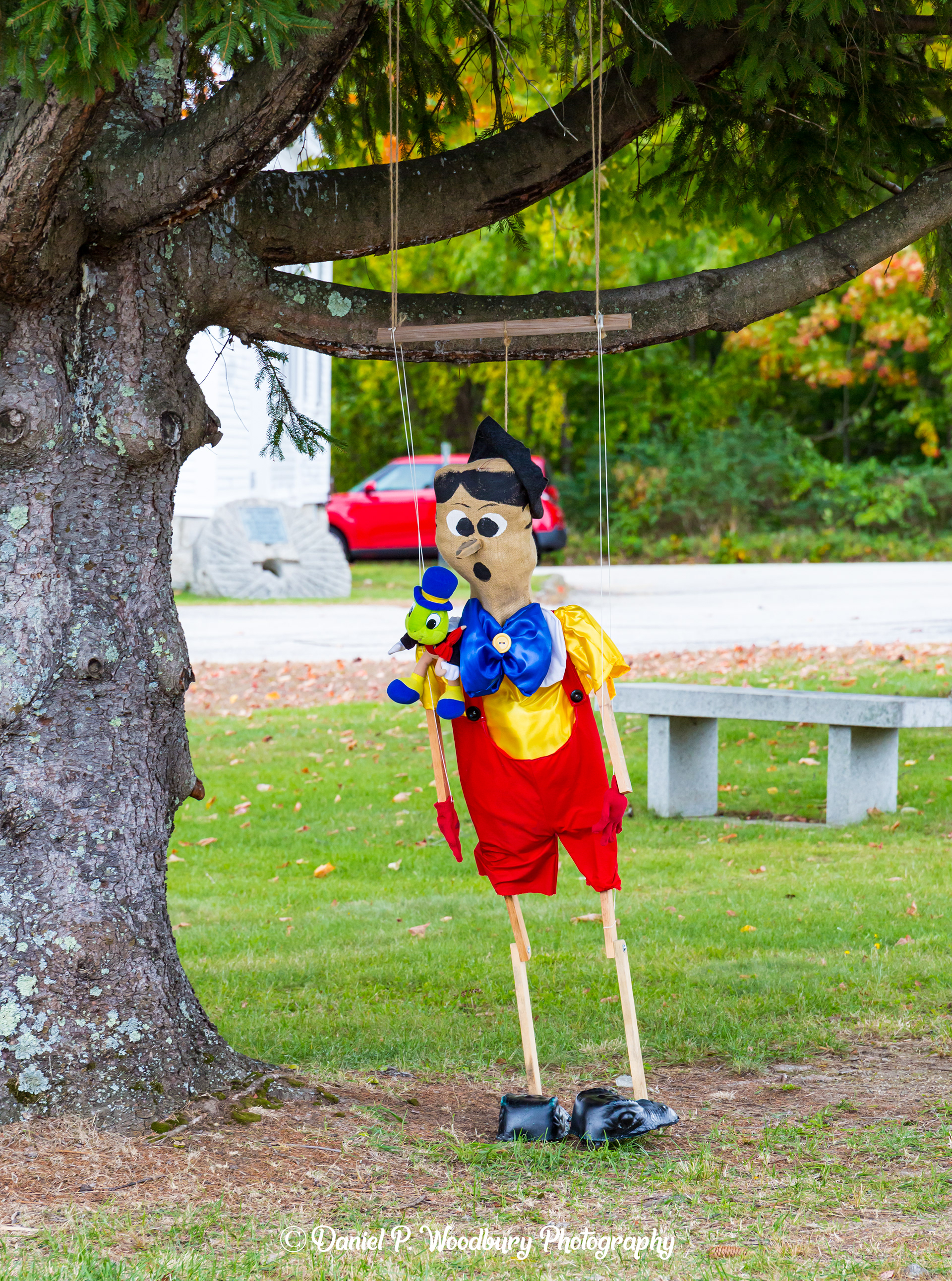Pinocchio Scarecrow