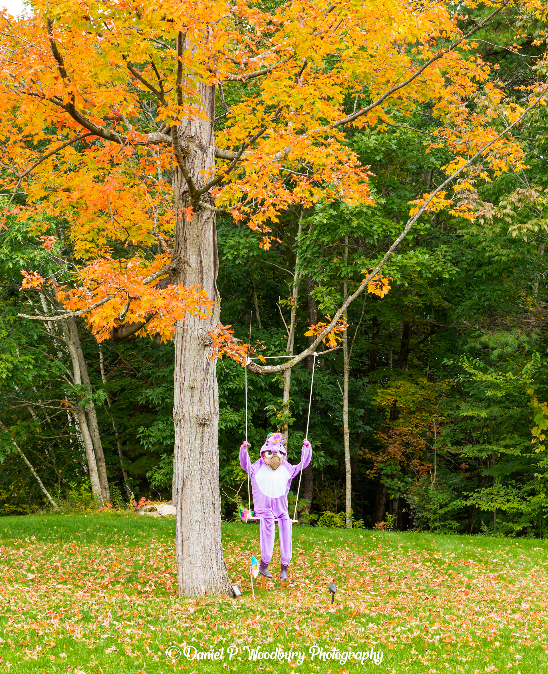 Swingin' Unicorn Scarecrow