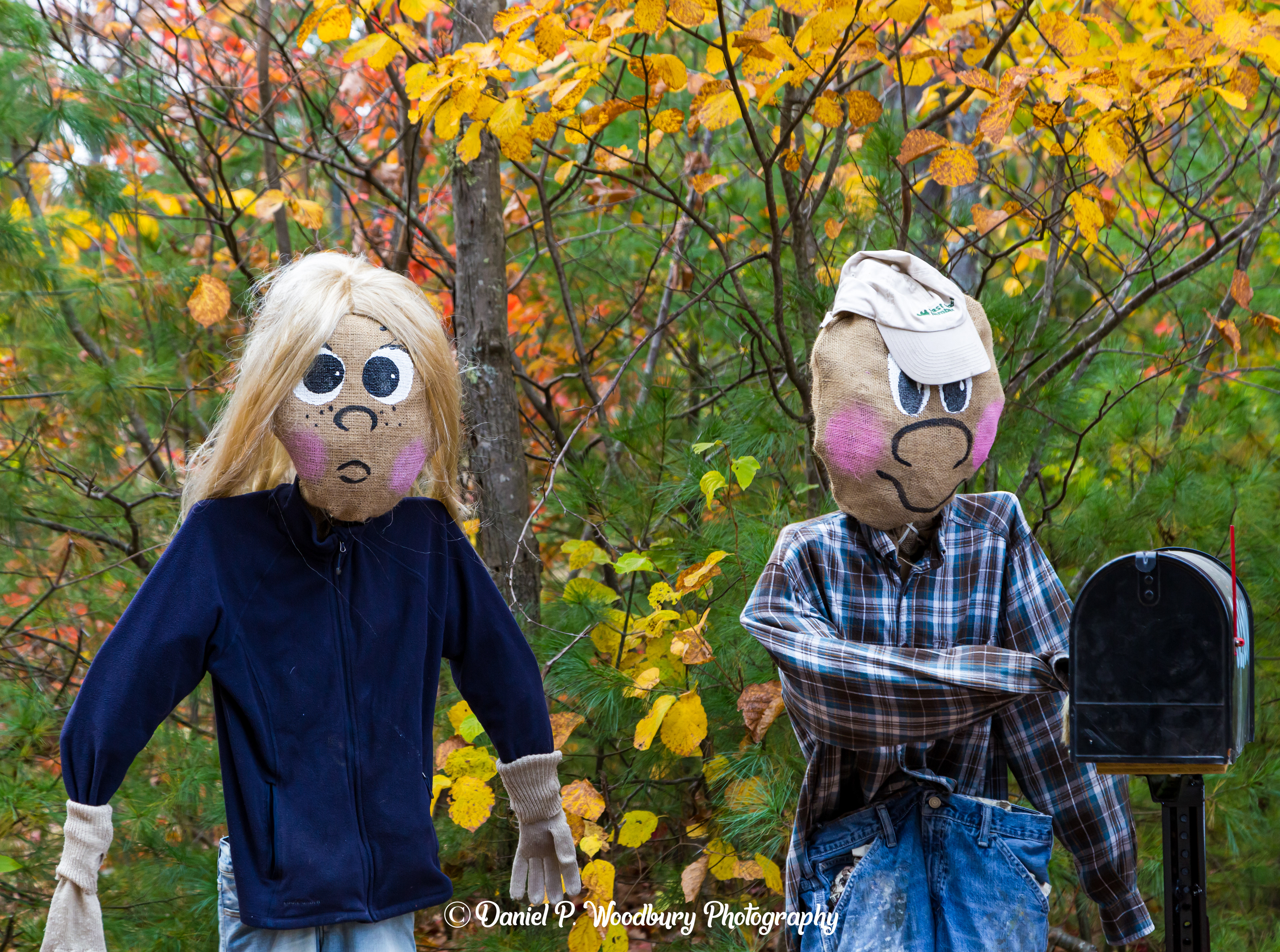 Couple Scarecrows