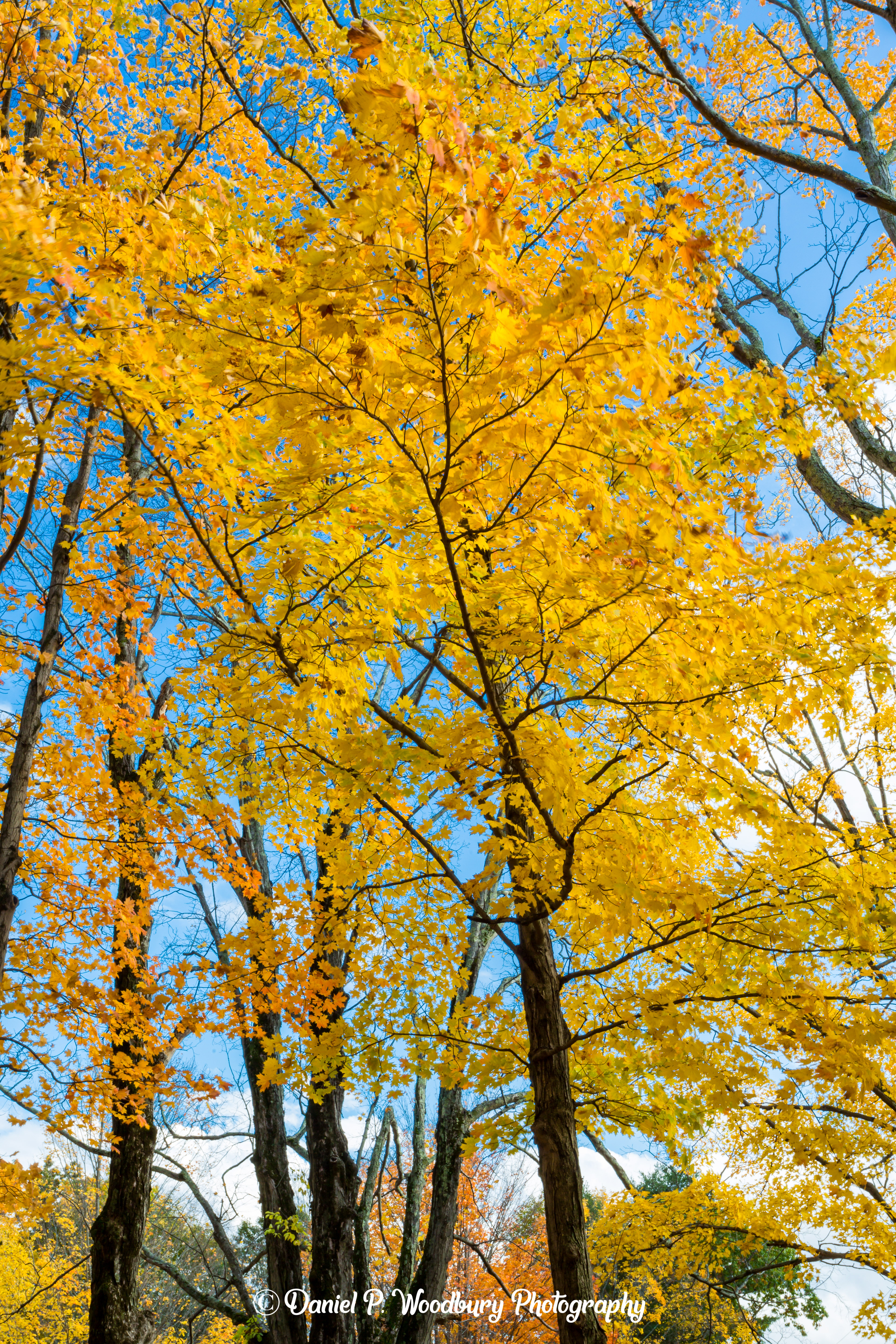 Autumn At Highland Cemetery-Newton, NH