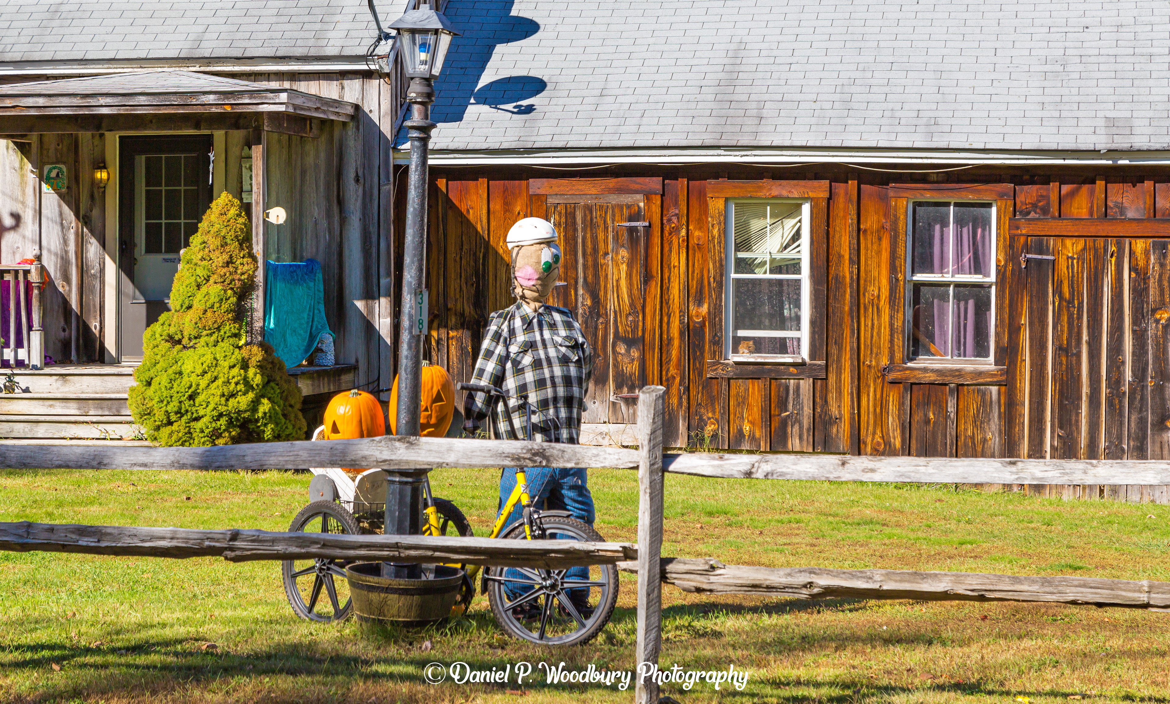 Biker Scarecrow