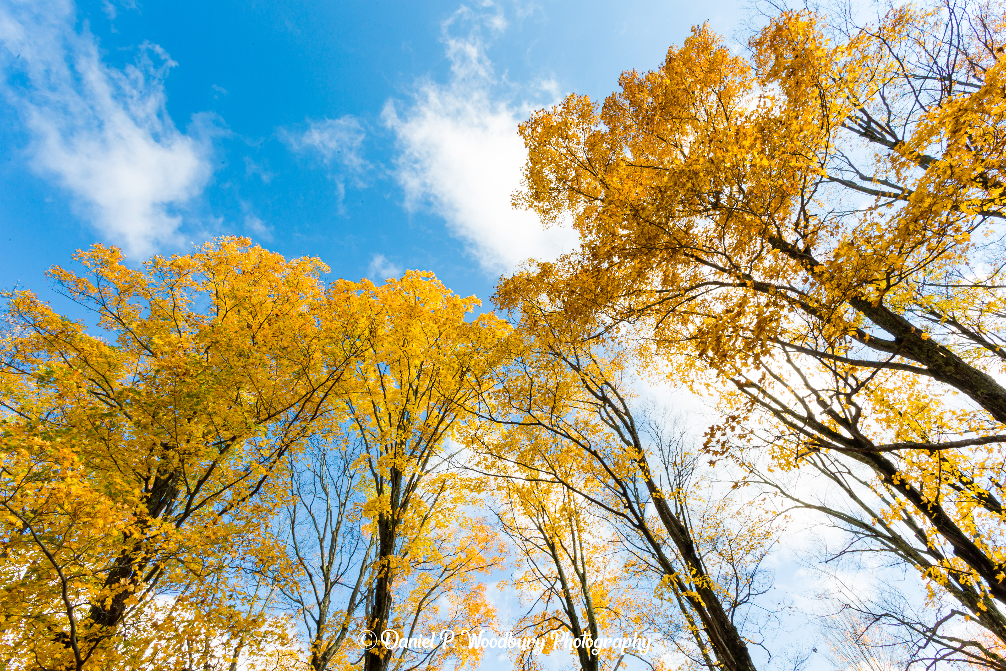 Autumn At Highland Cemetery-Newton, NH