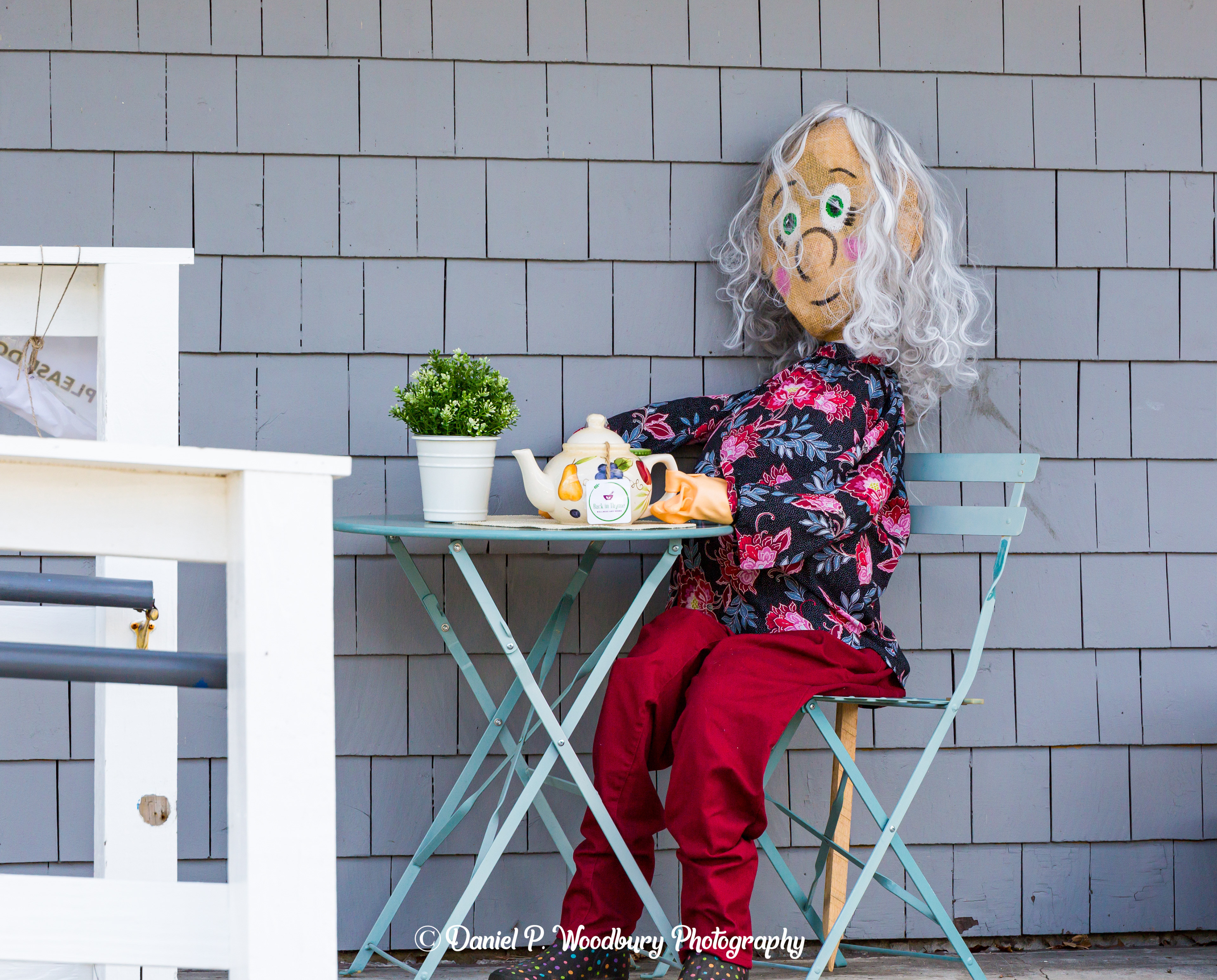 Lady Teatime (a.k.a. Rose) Scarecrow
