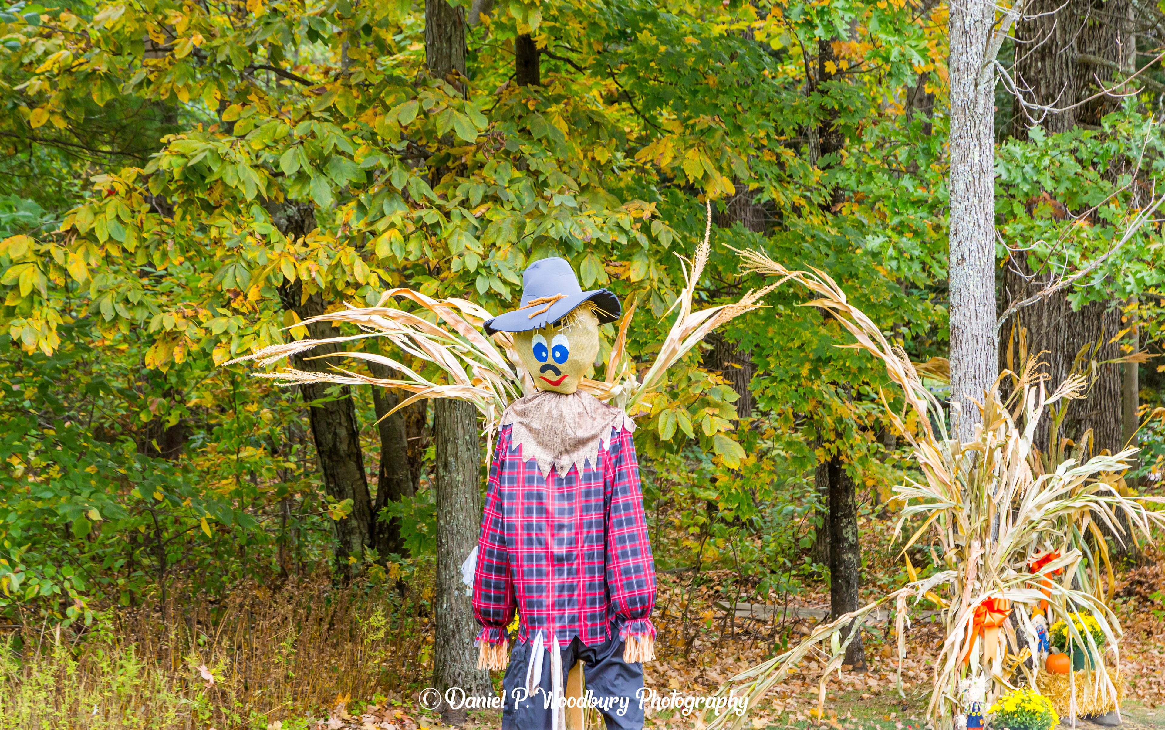 Scarecrow Scarecrow
