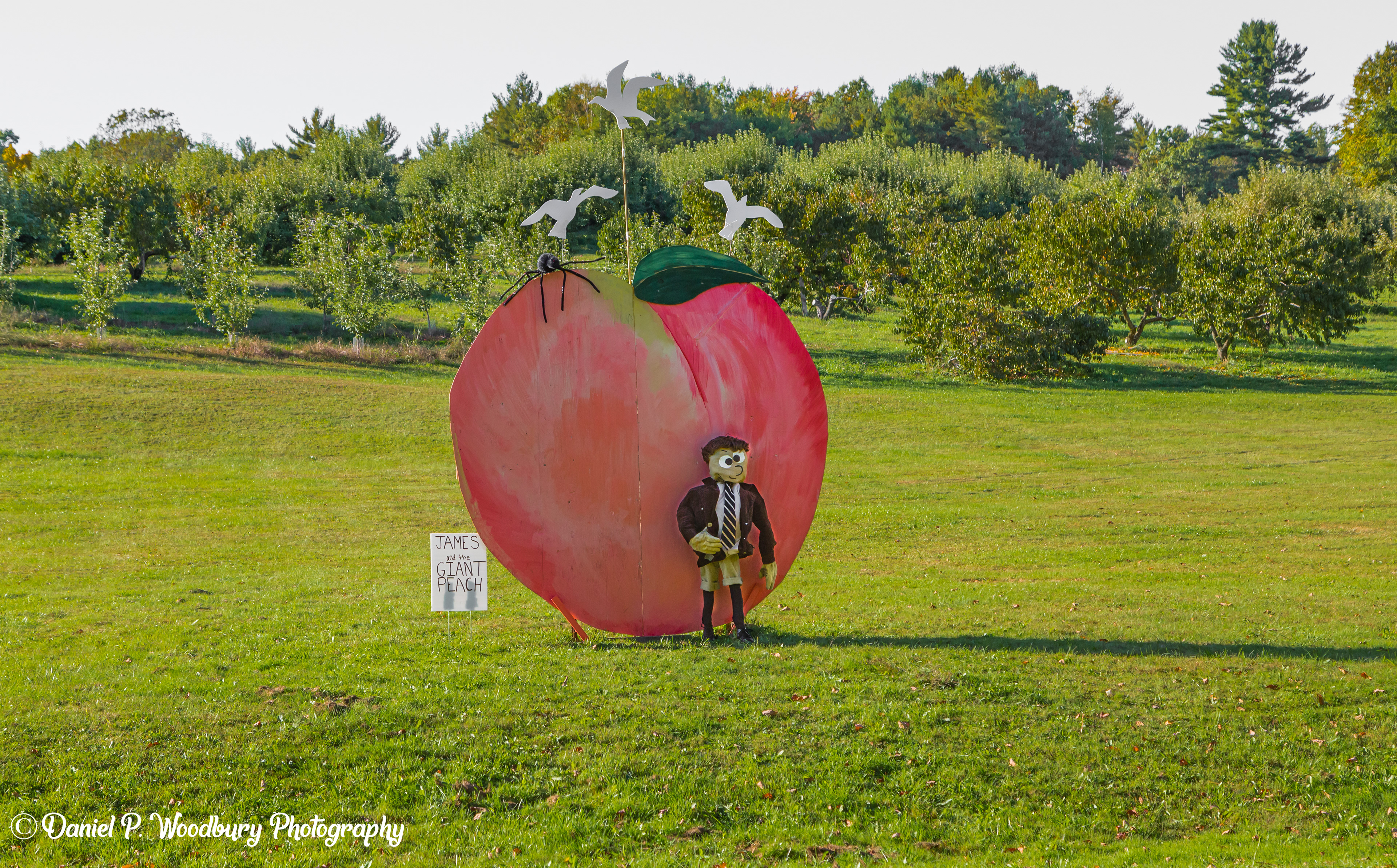 James & The Giant Peach Scarecrow