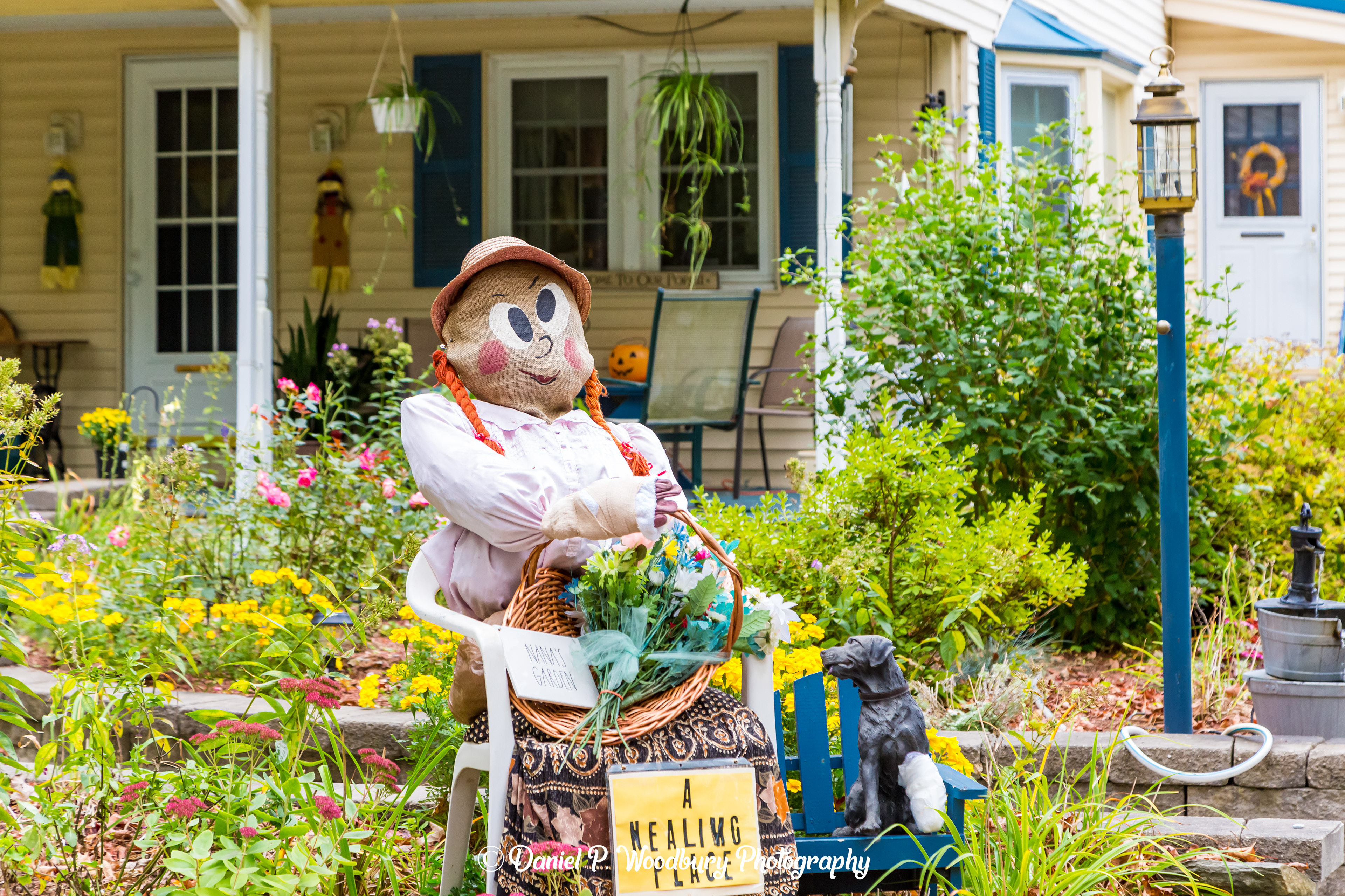 Homeopathic Scarecrow