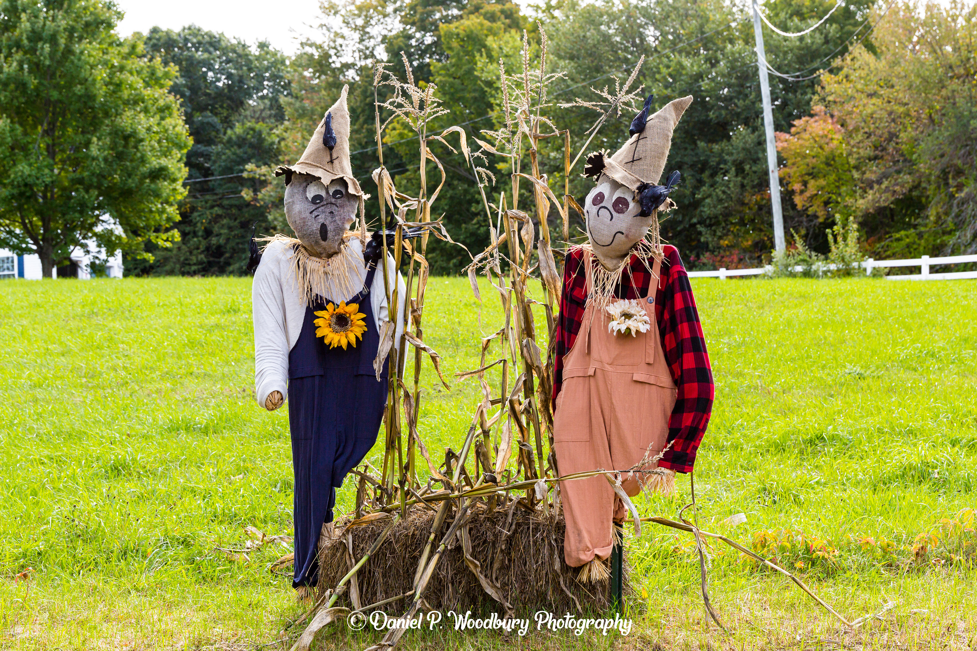 Vintage Scarecrows