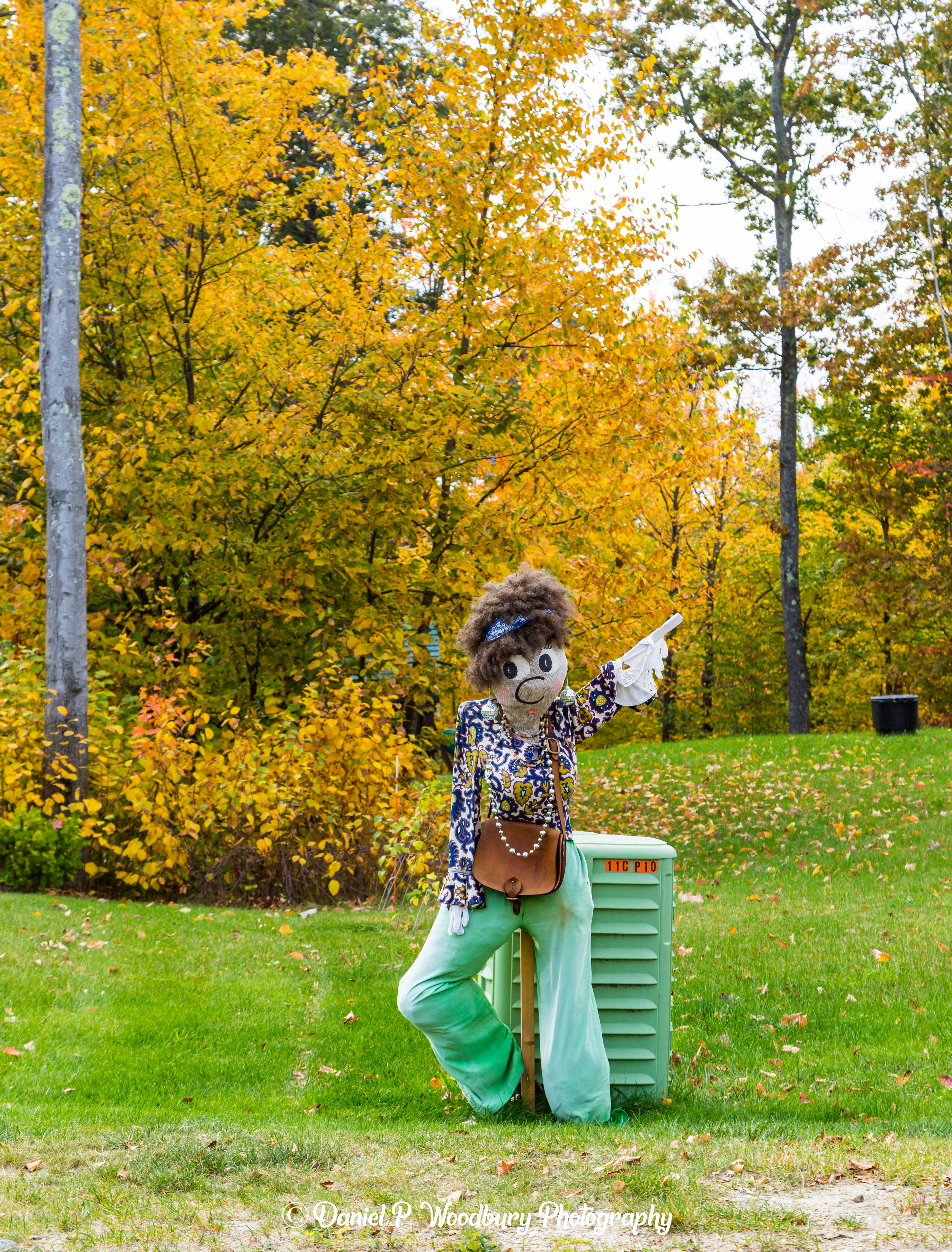 Dancin' Scarecrow