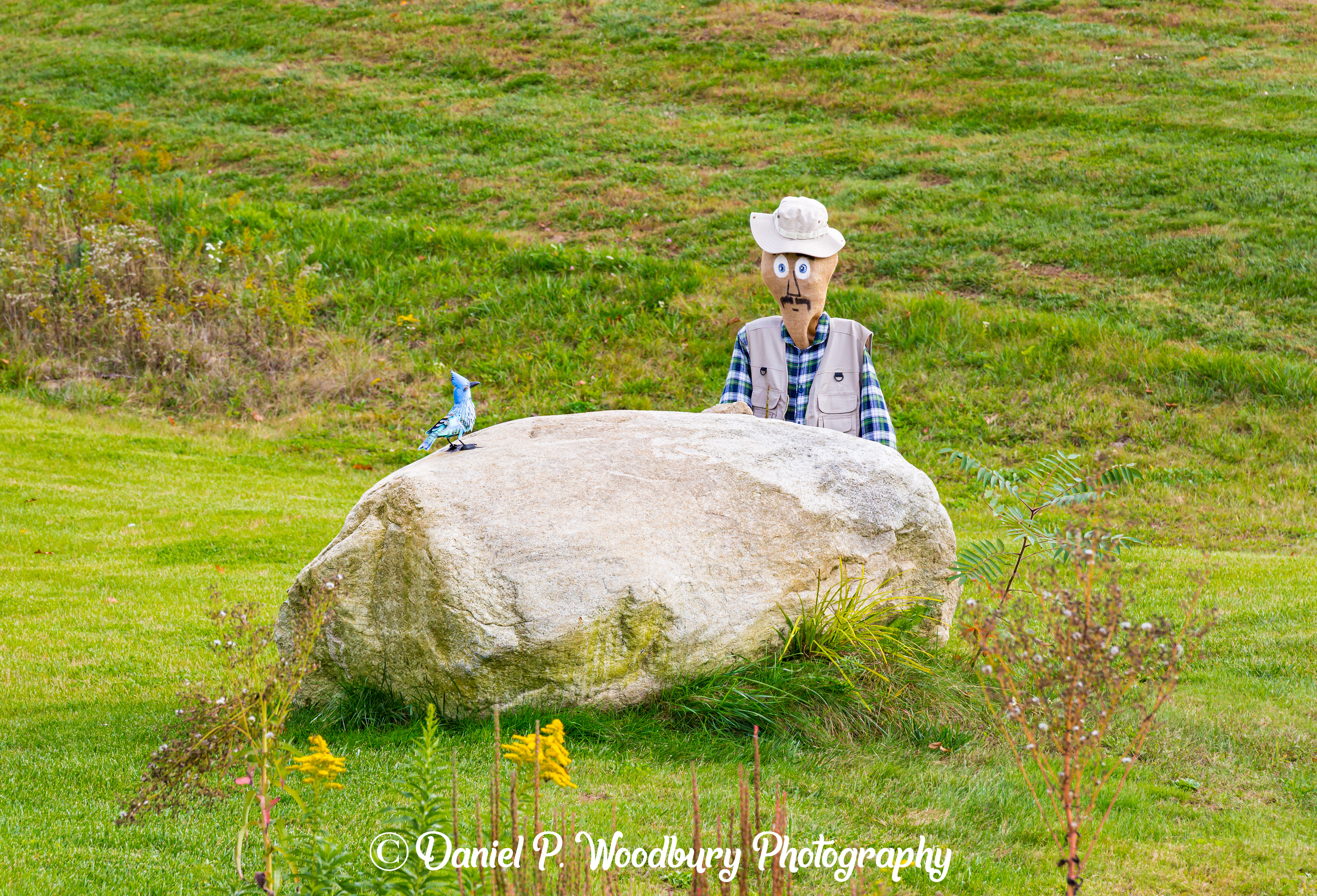 Bird Watchin' Scarecrow