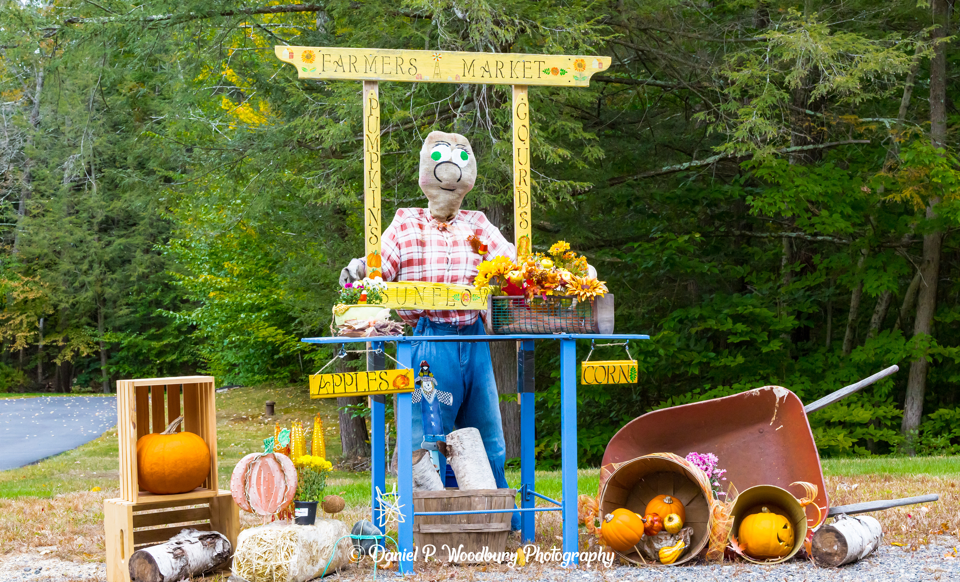 Farmer's Market Scarecrow