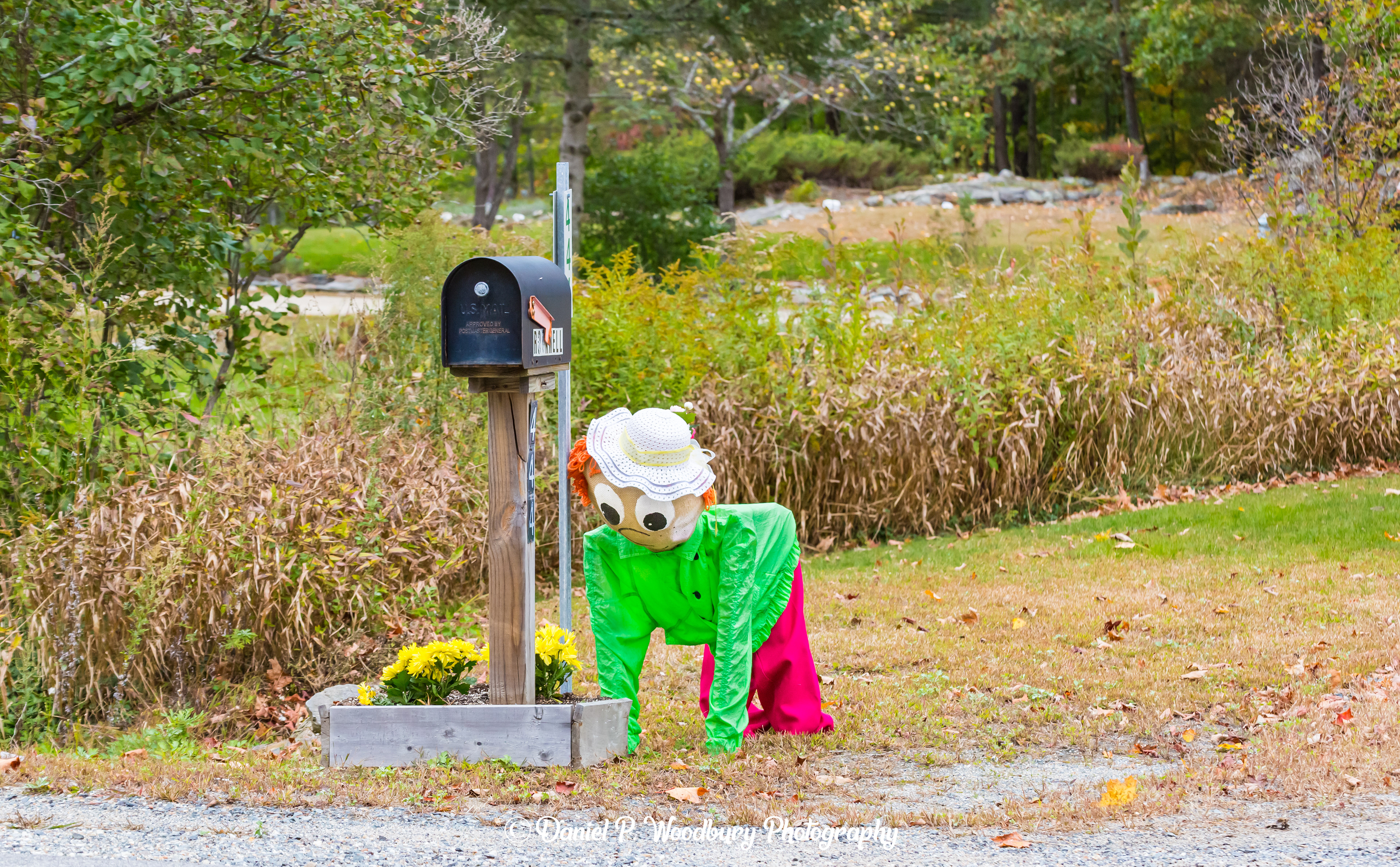 Gardenin' Scarecrow