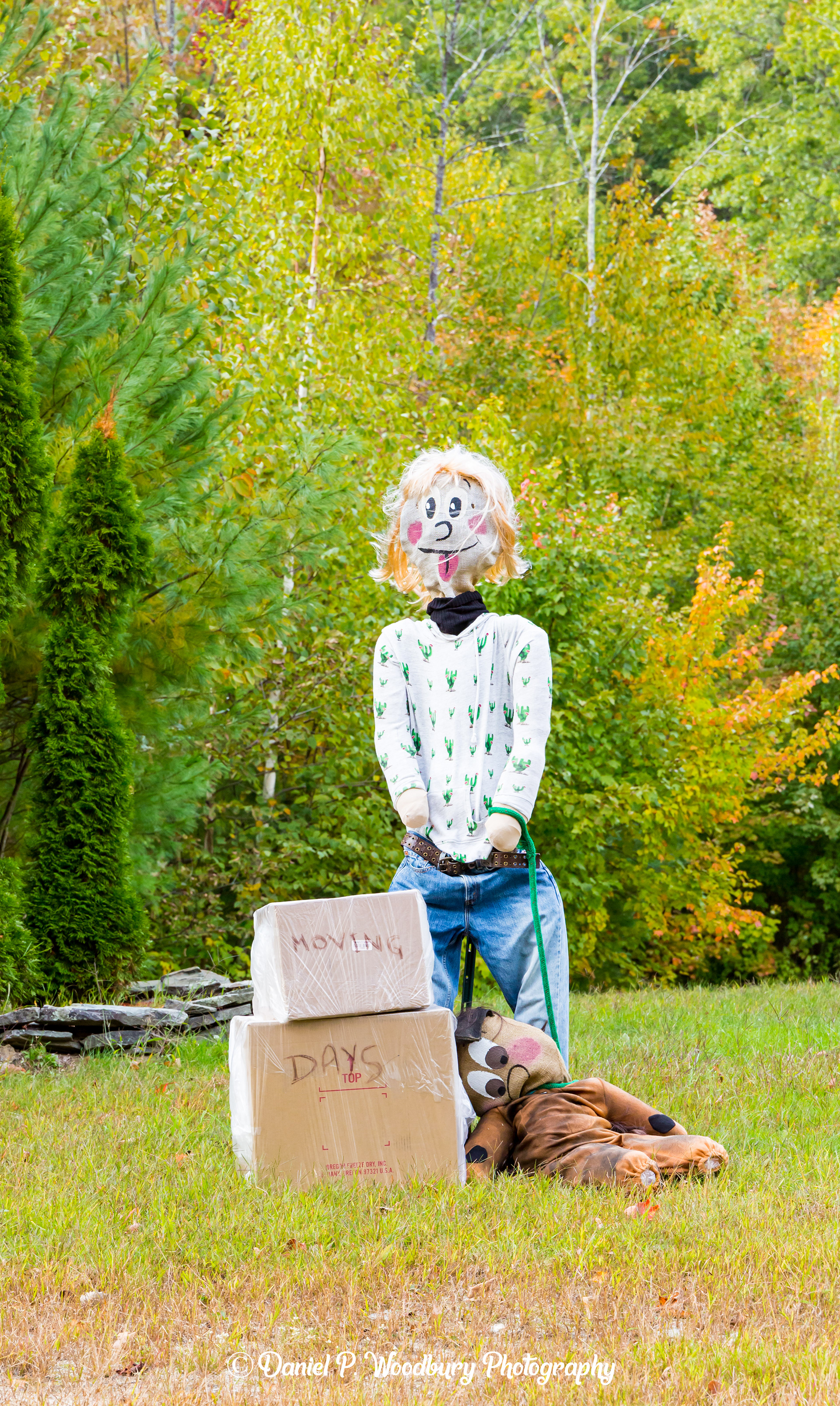 Movin' Scarecrow
