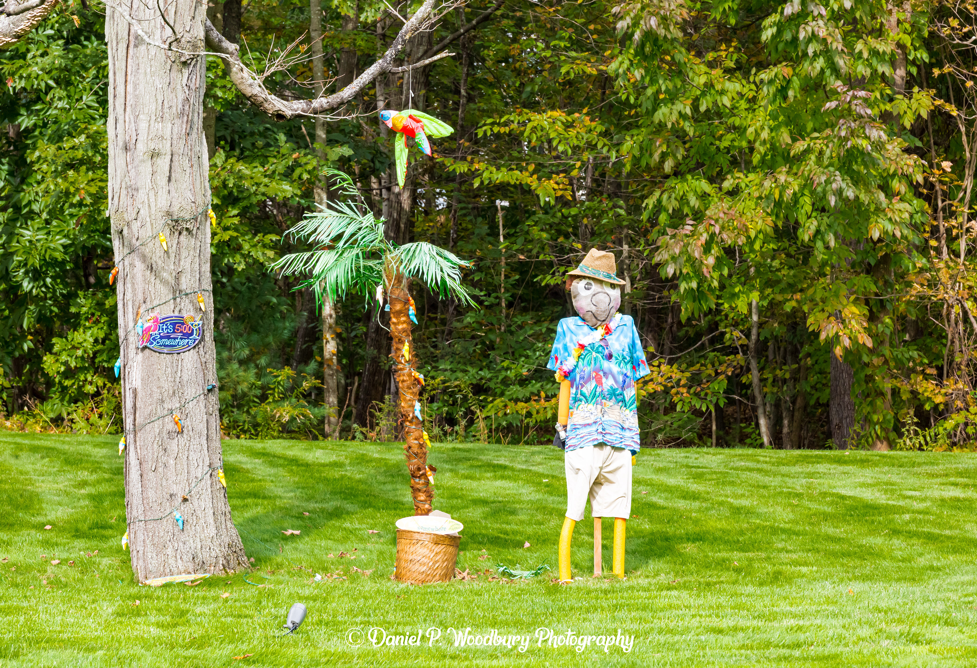 Jimmy Buffet Scarecrow