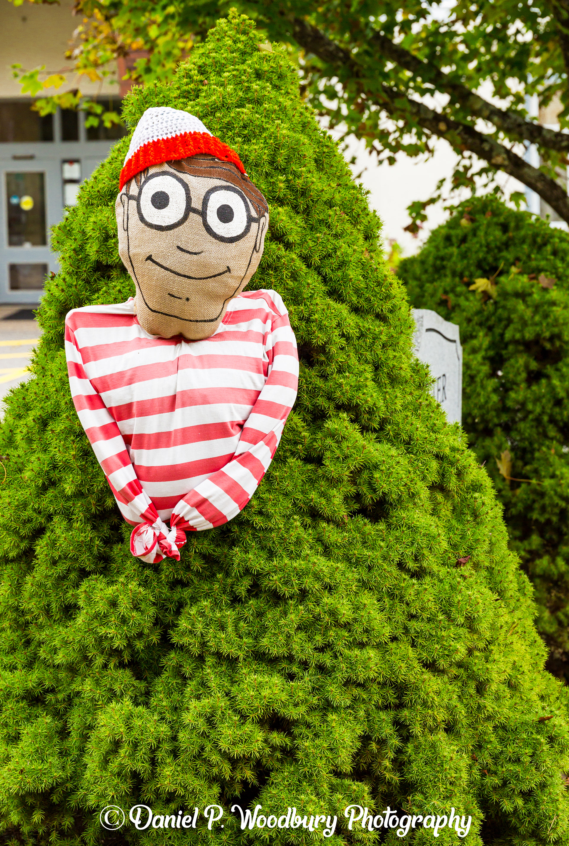 Waldo Scarecrow