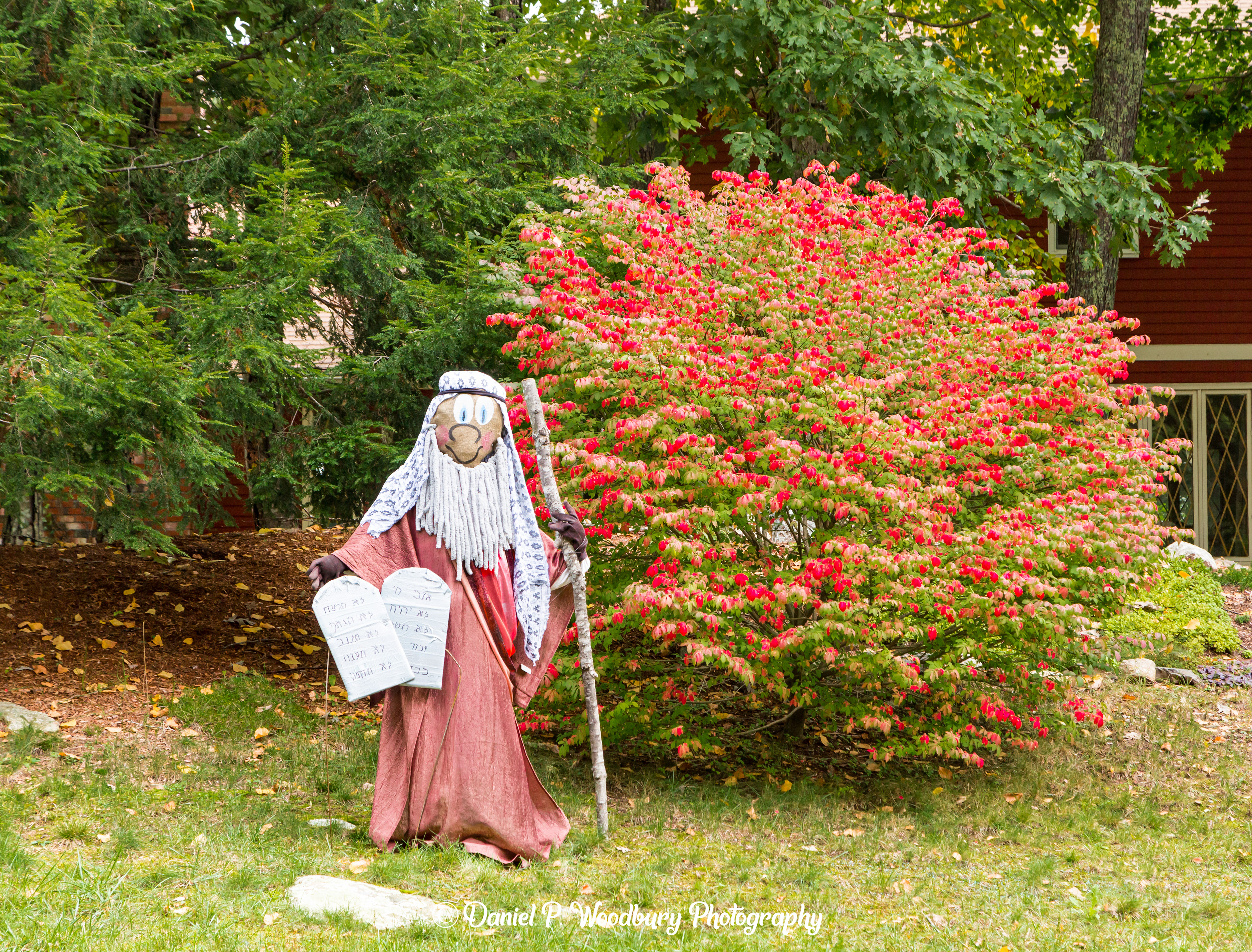 Moses Scarecrow