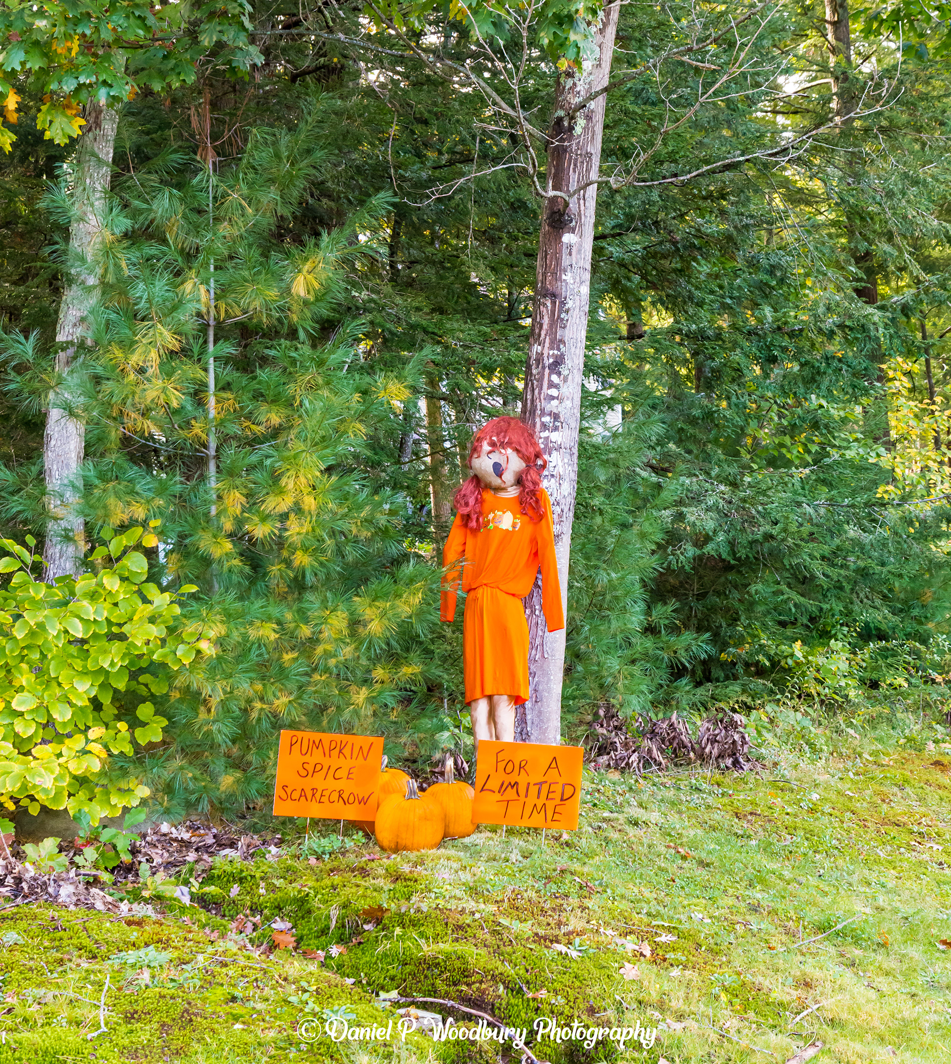 Pumpkin Spice Girl Scarecrow