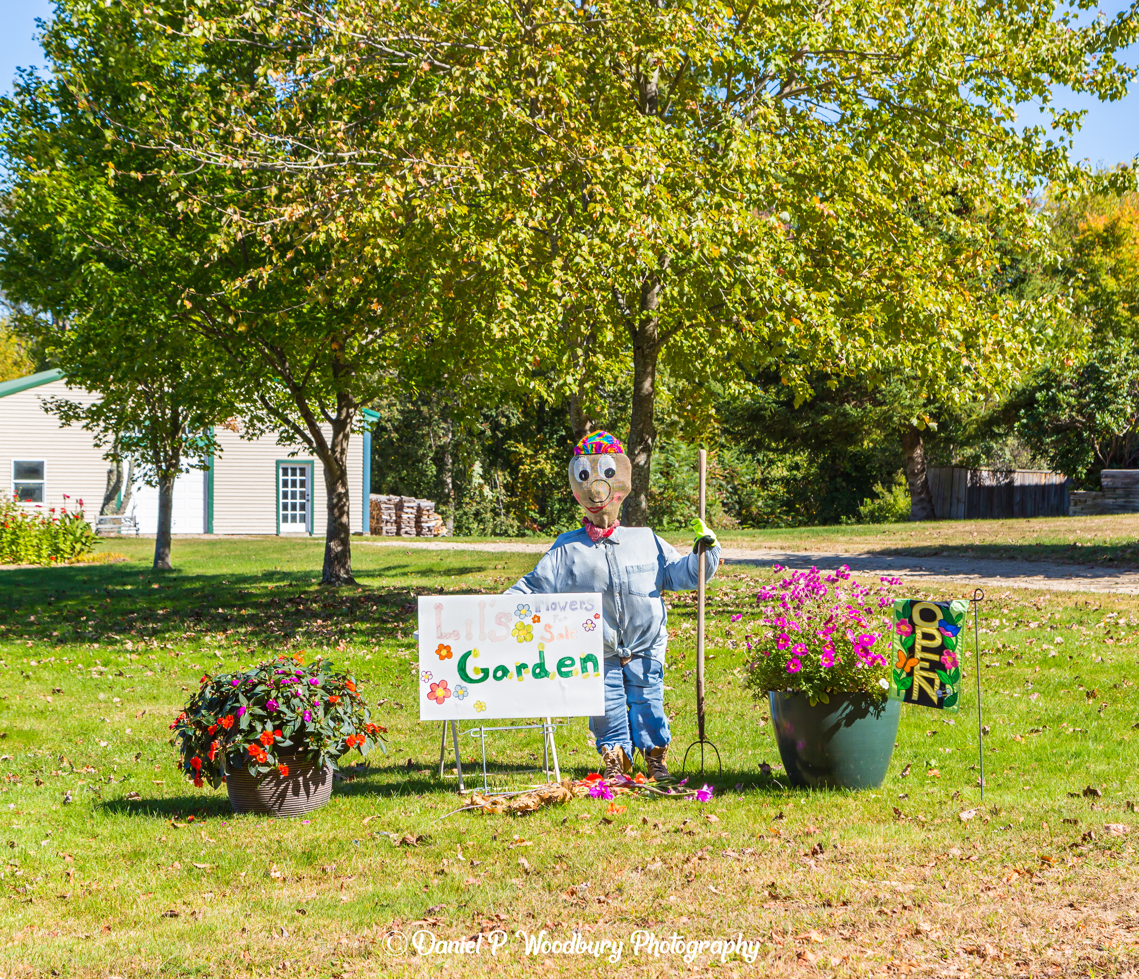 Lil's Garden Scarecrow
