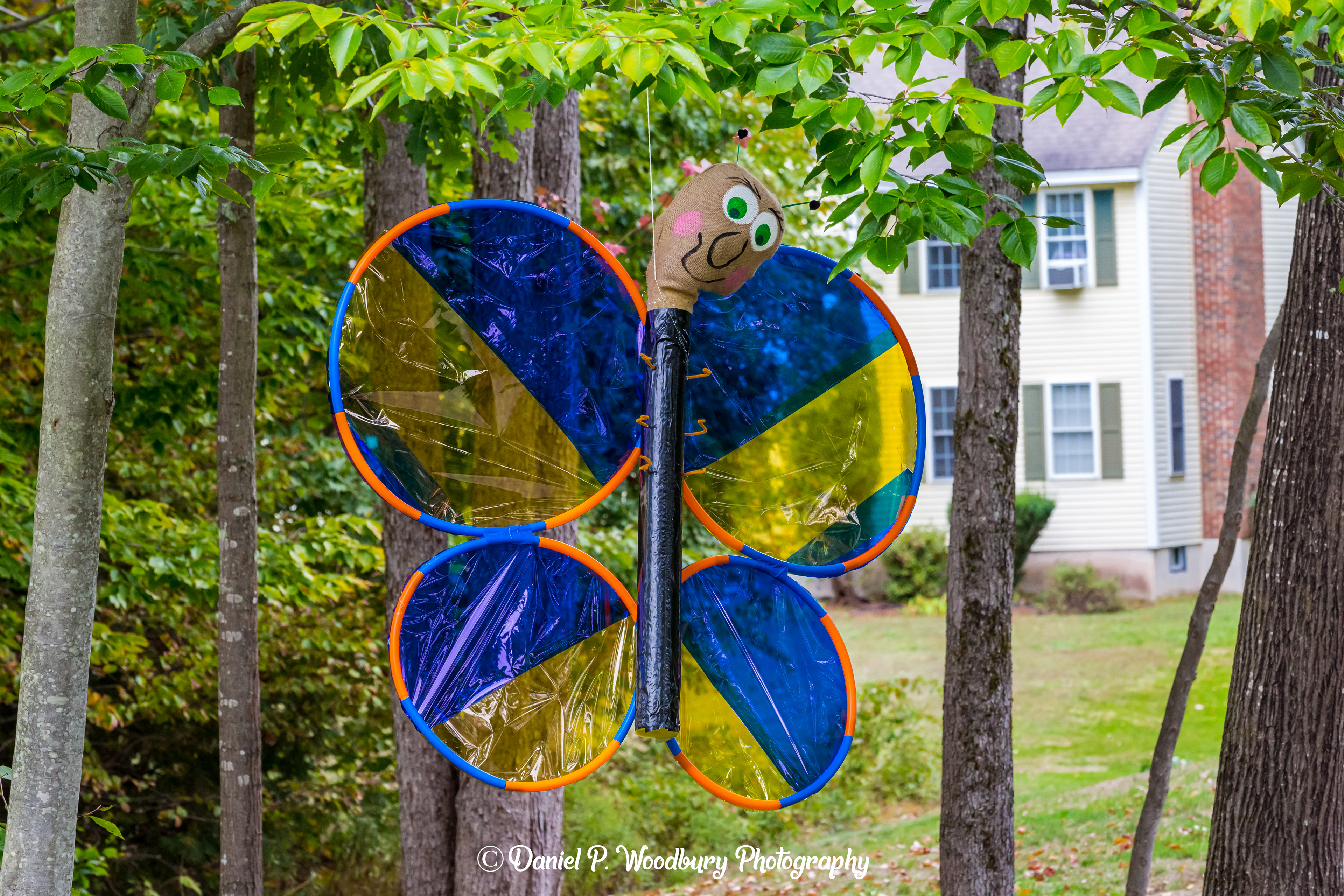 Butterfly Scarecrow
