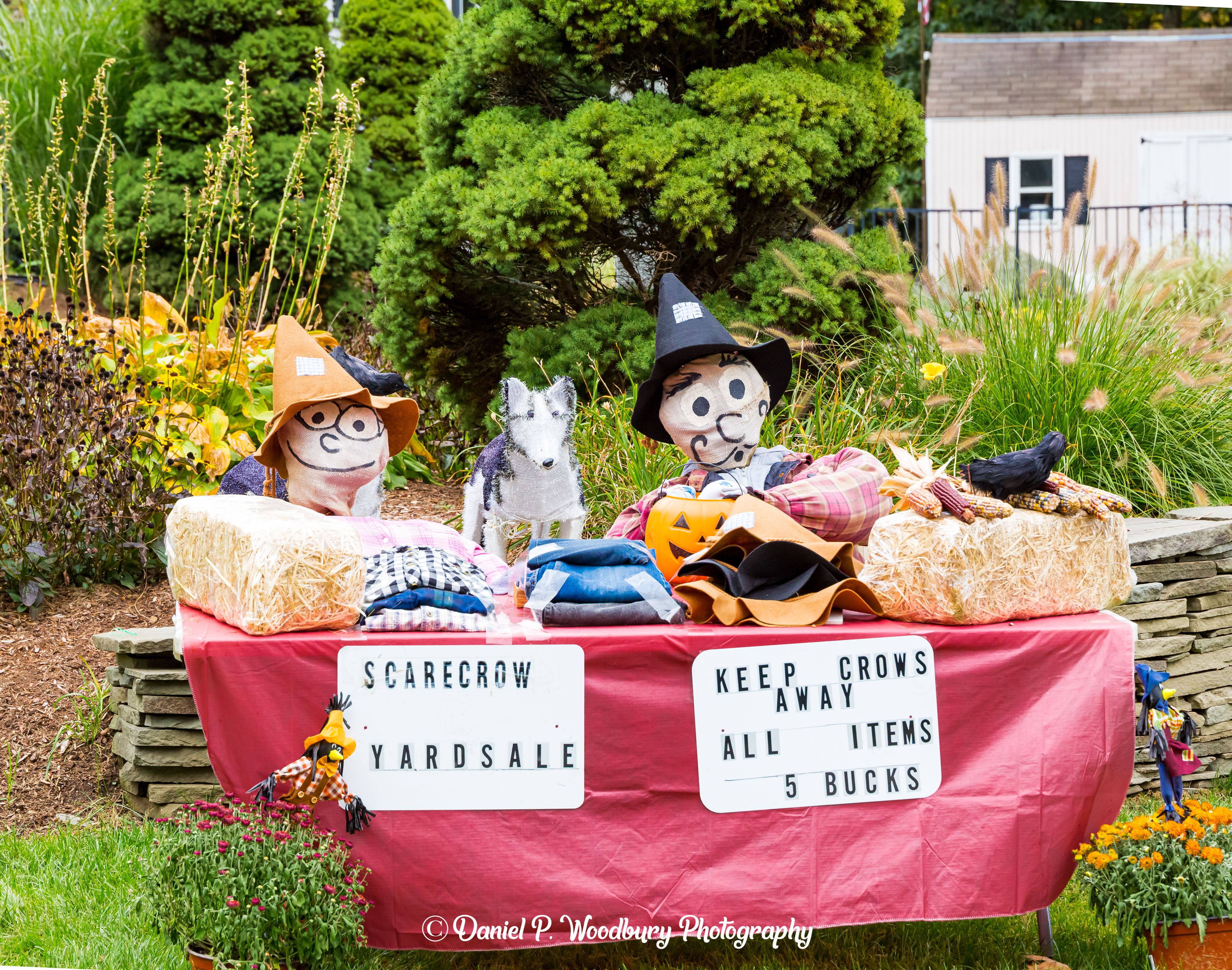 Yard Salin' Scarecrows