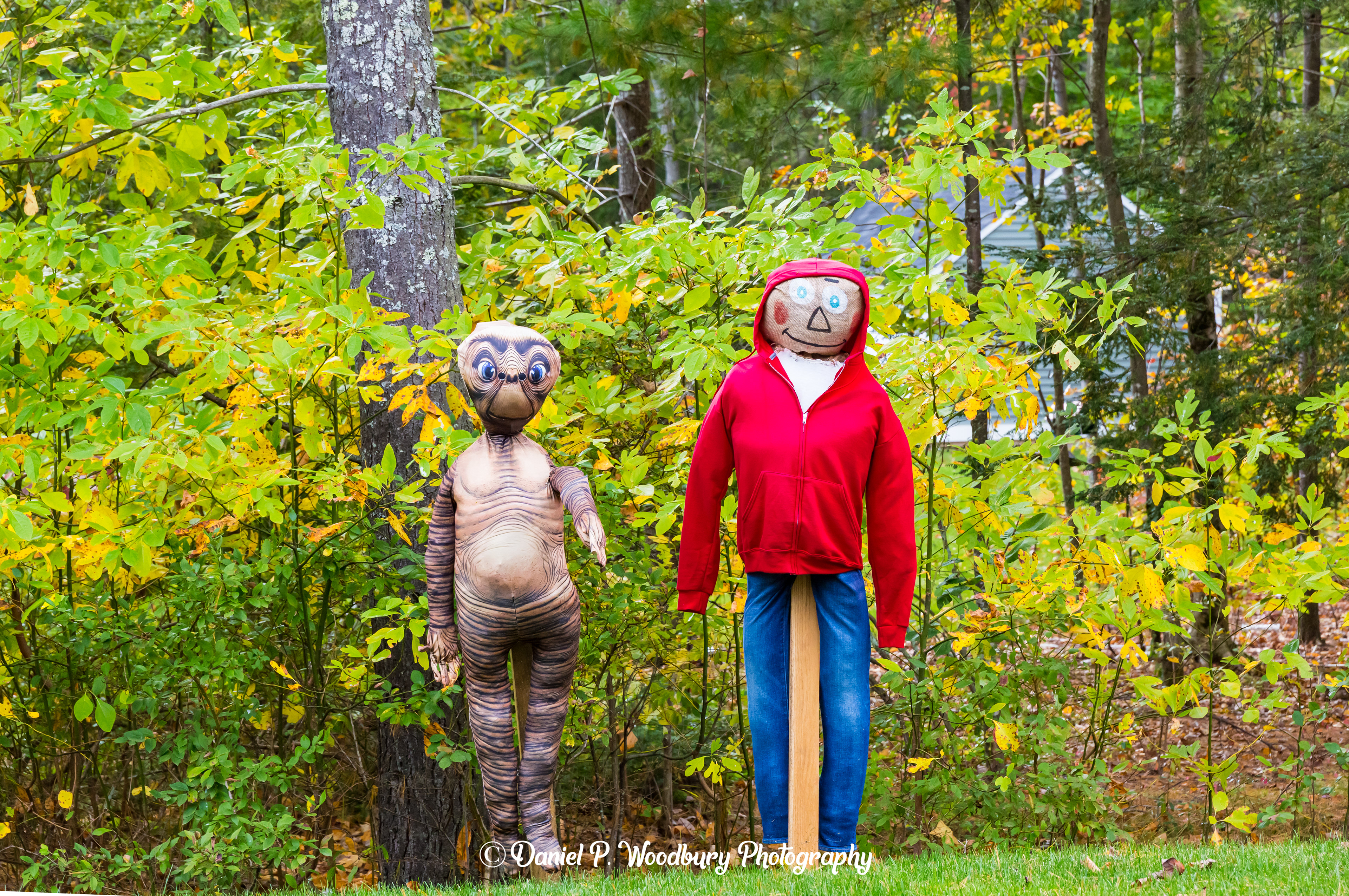 ET & Elliot Scarecrow