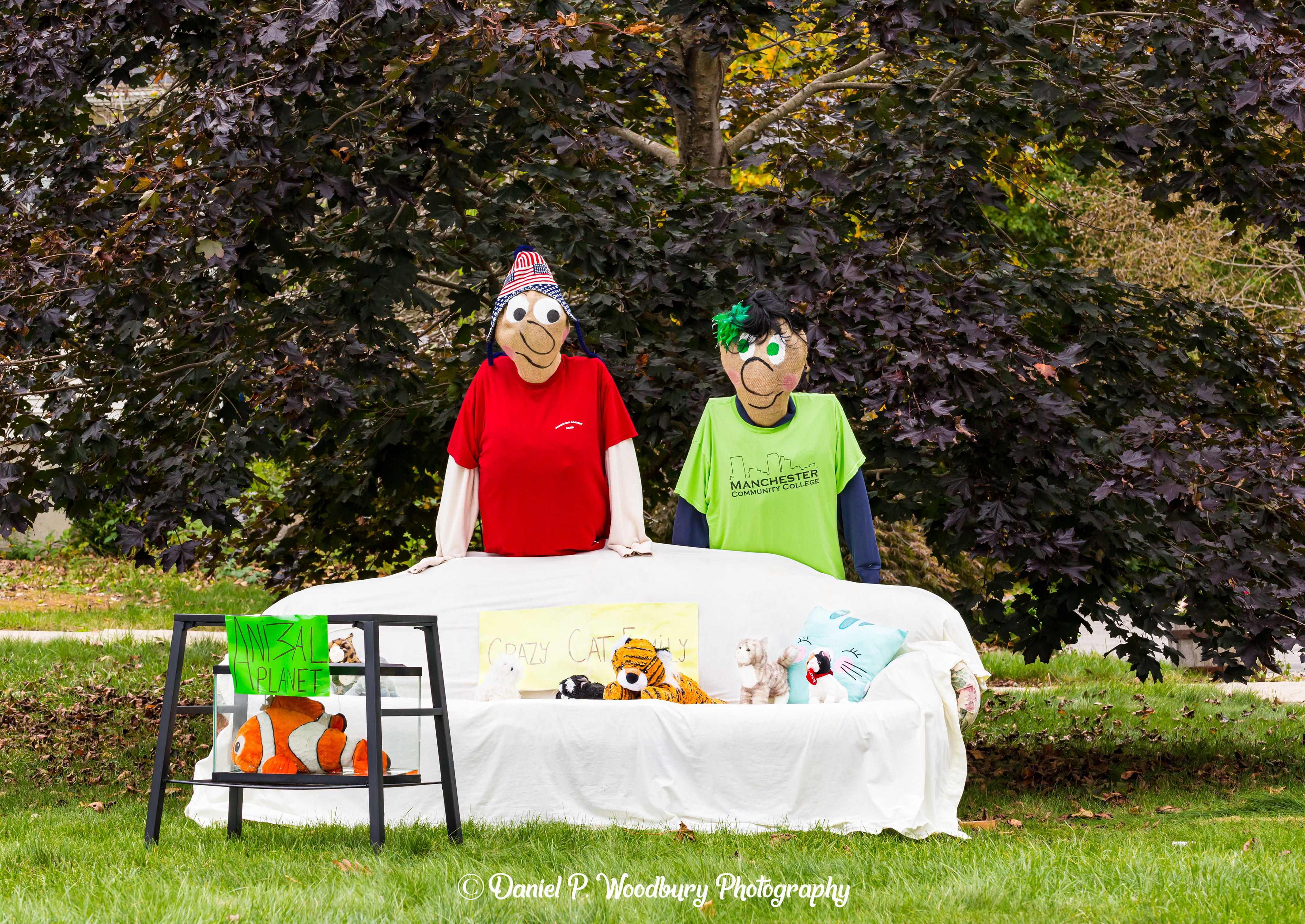 Crazy Cat Family Scarecrows