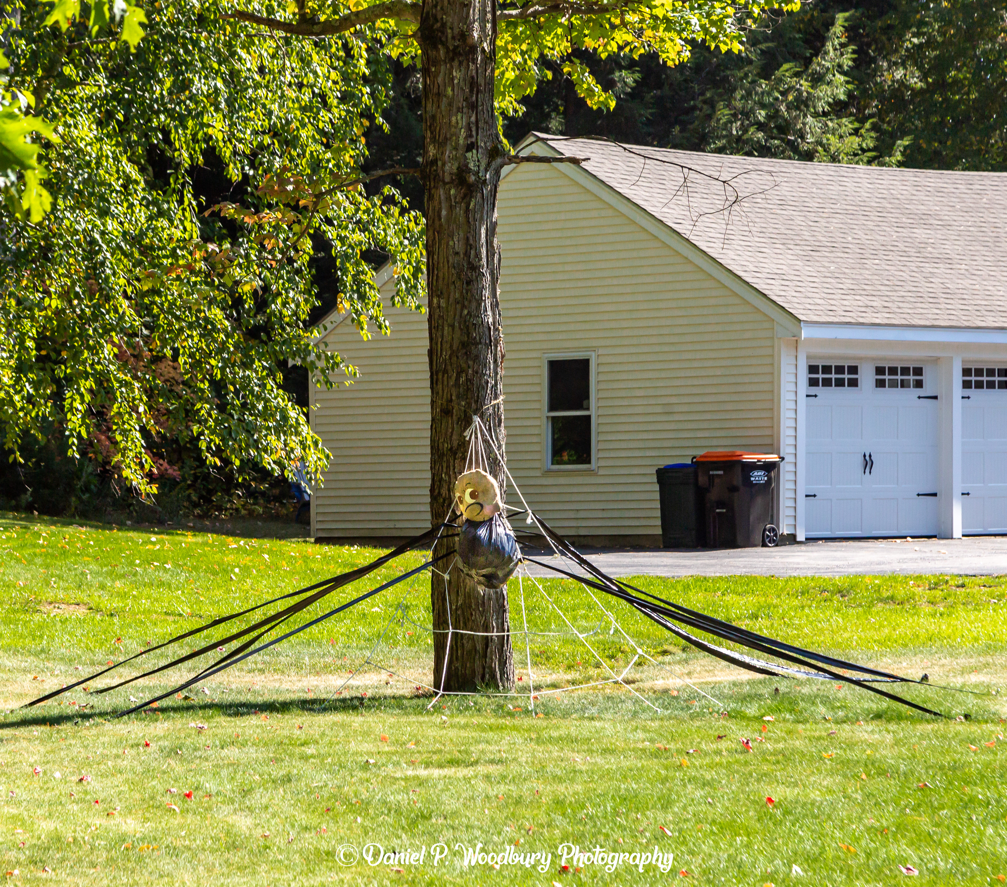 Spider Scarecrow