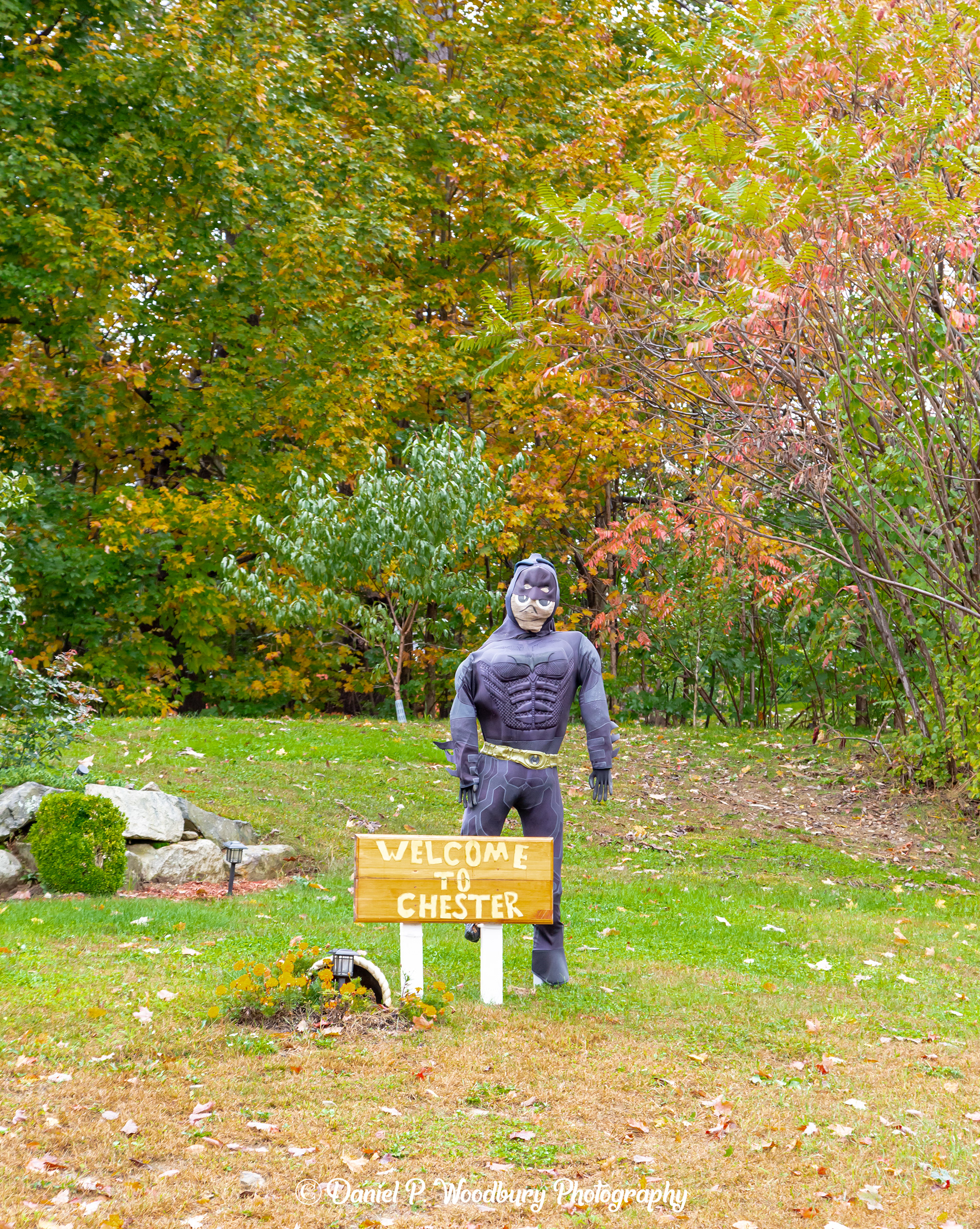 Batman Scarecrow