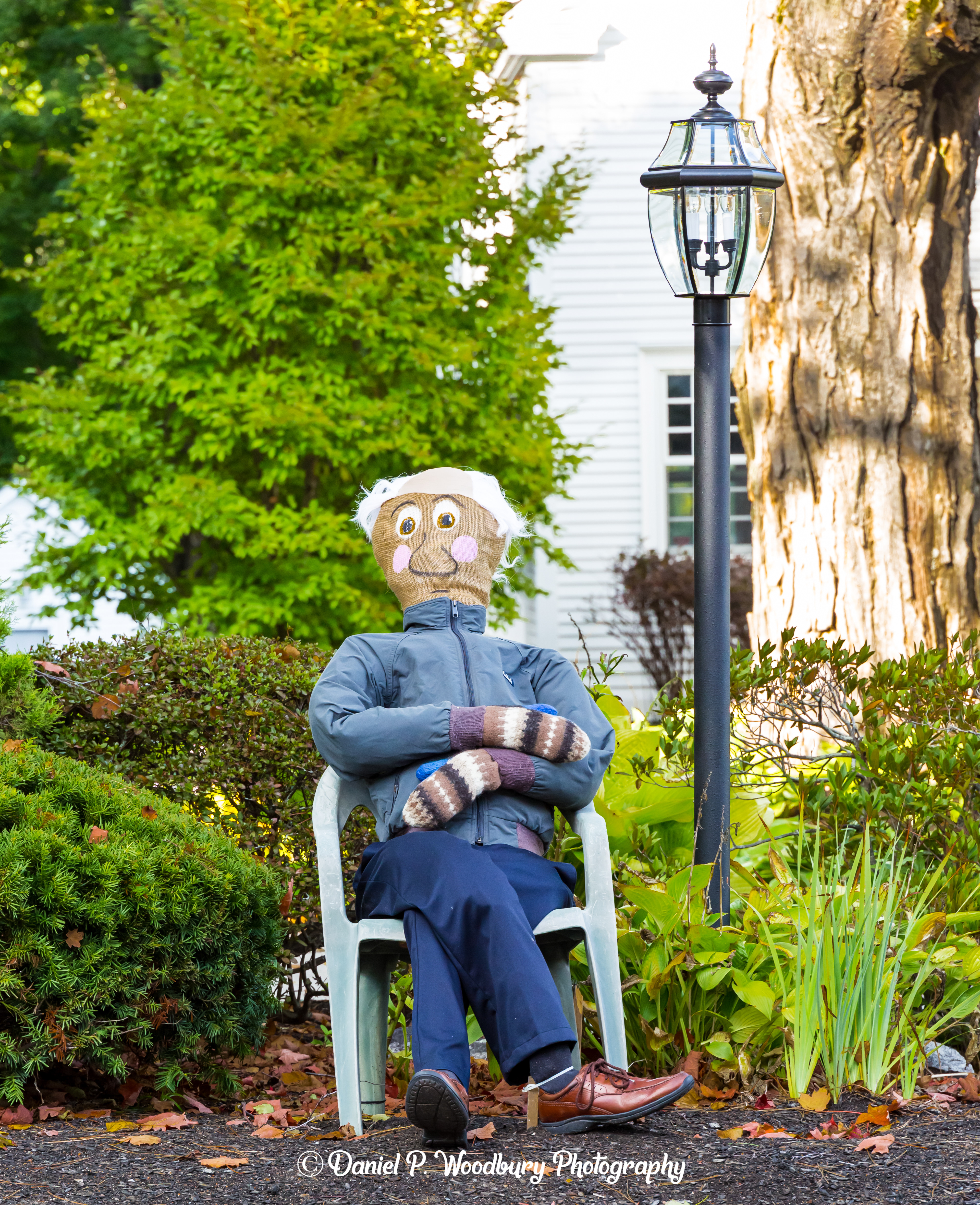 Bernie Sanders Scarecrow