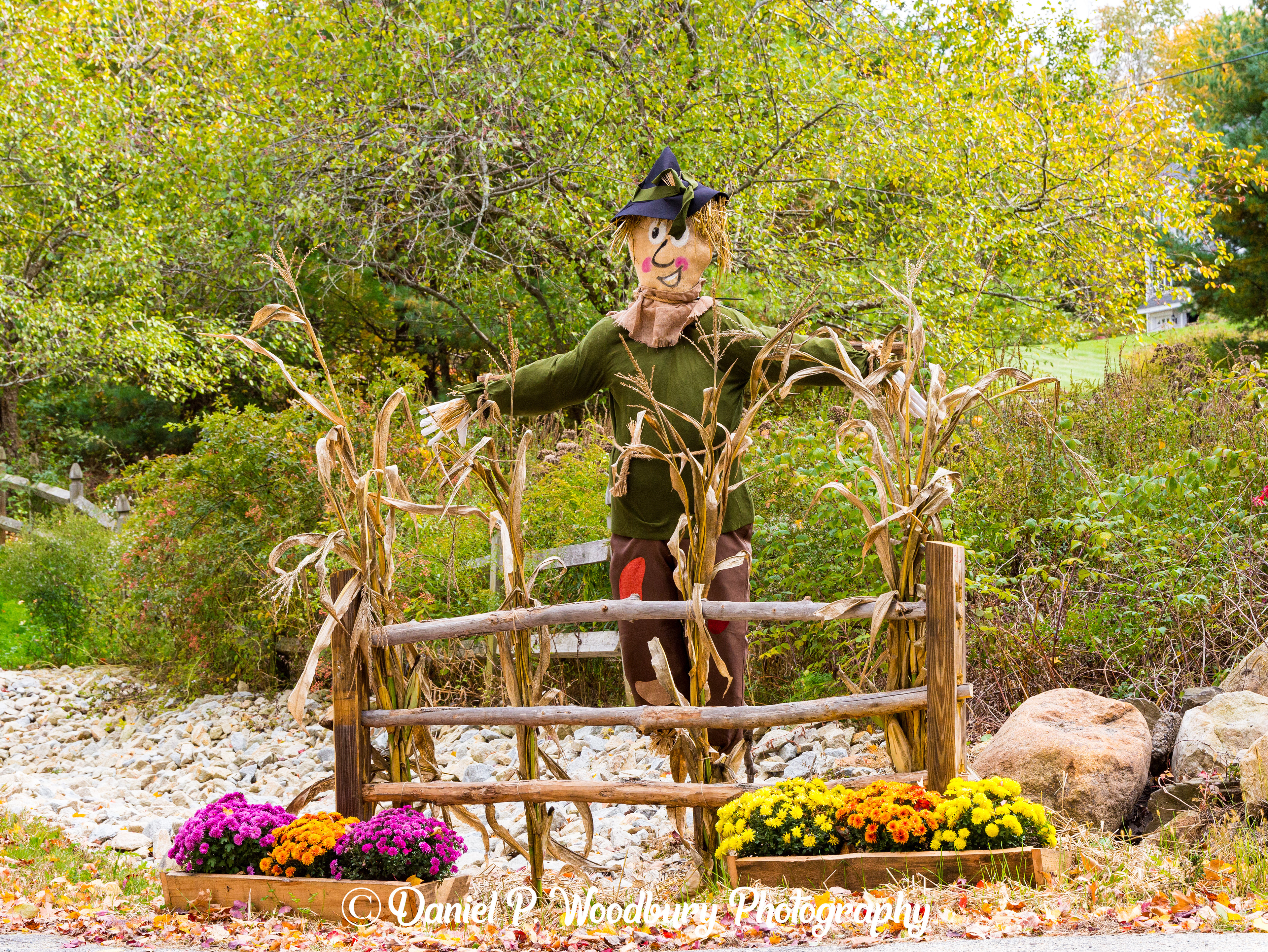 Wizard Of Oz Scarecrow