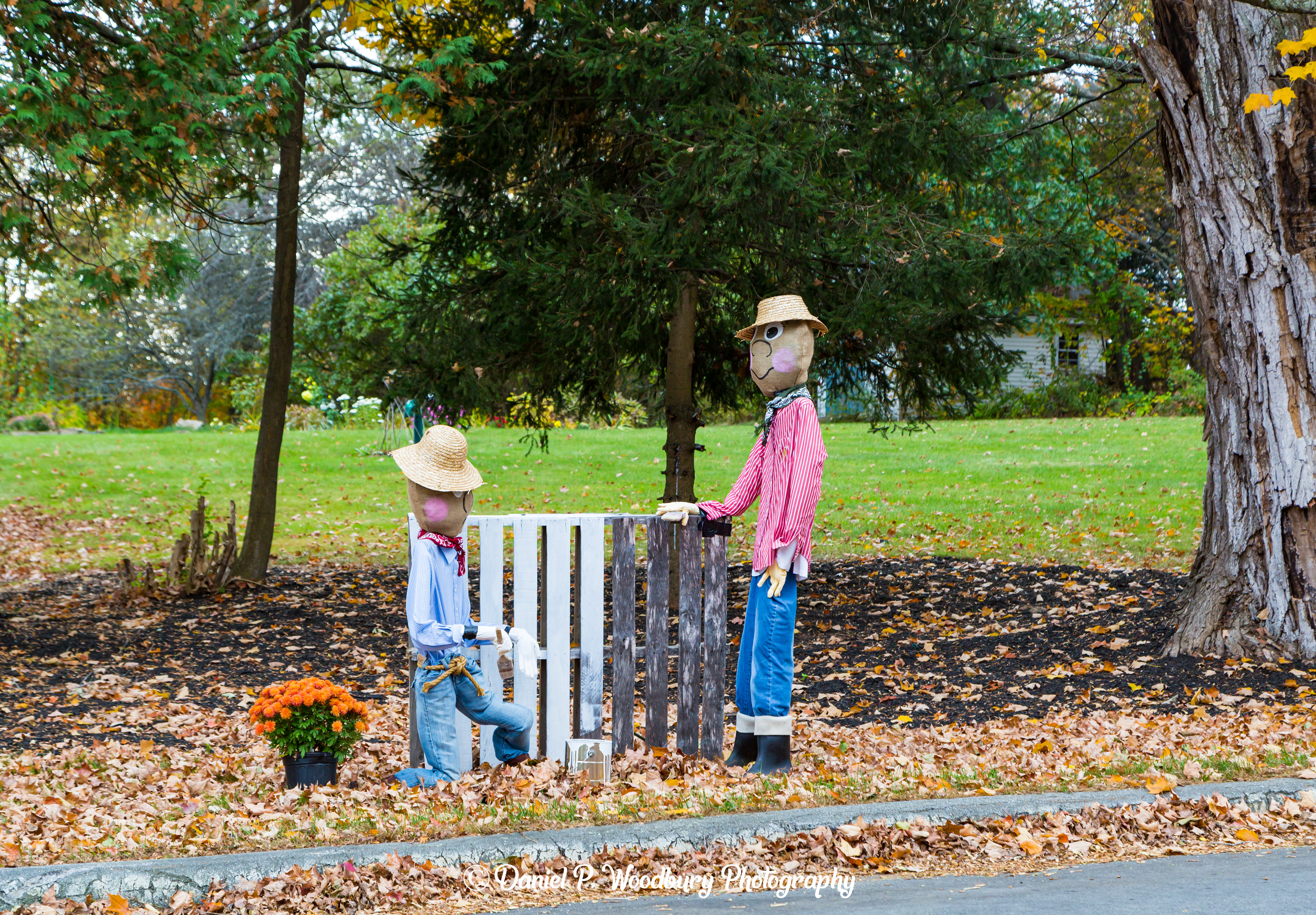 Paintin' Scarecrows