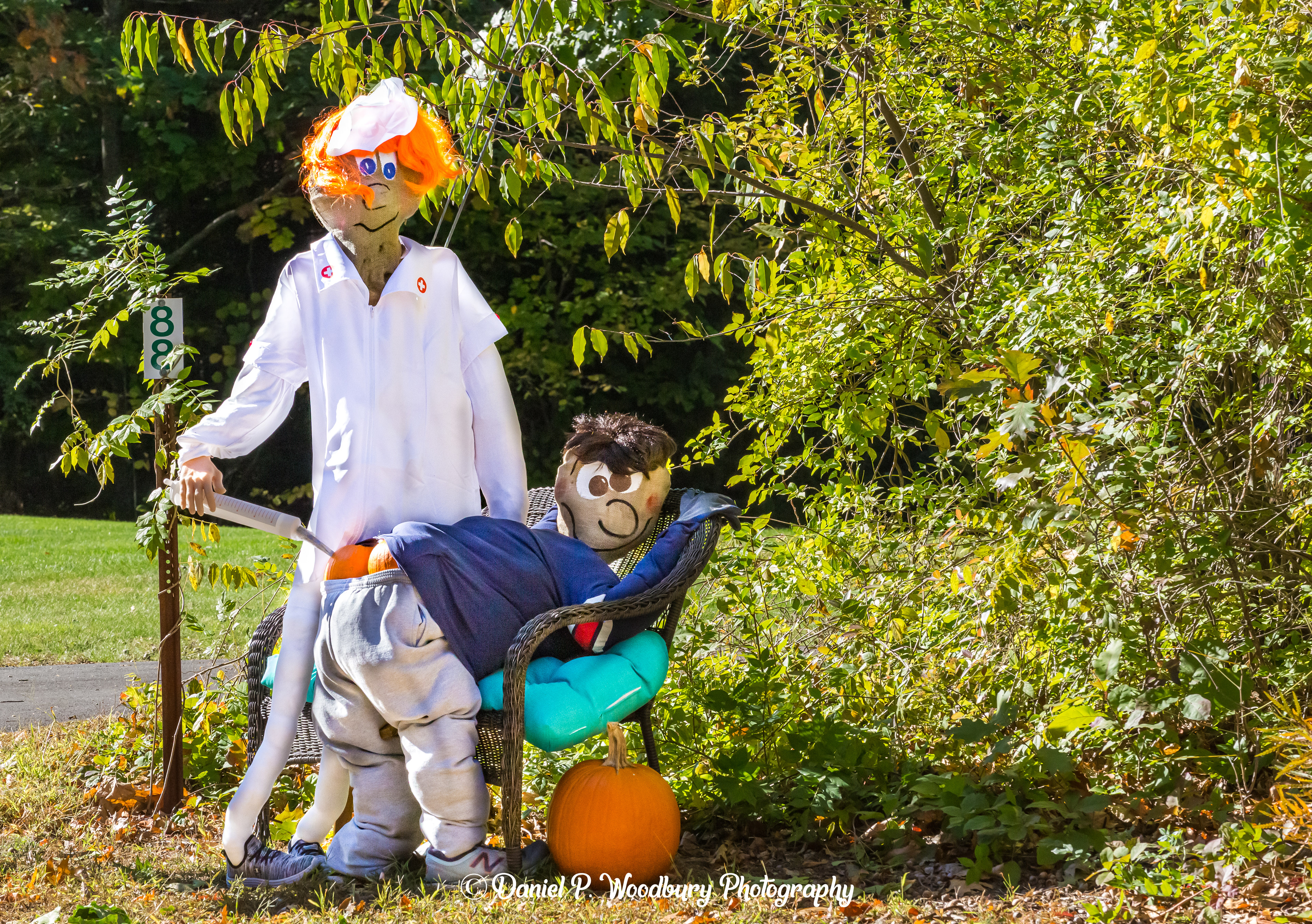 Free Vaccines Scarecrow