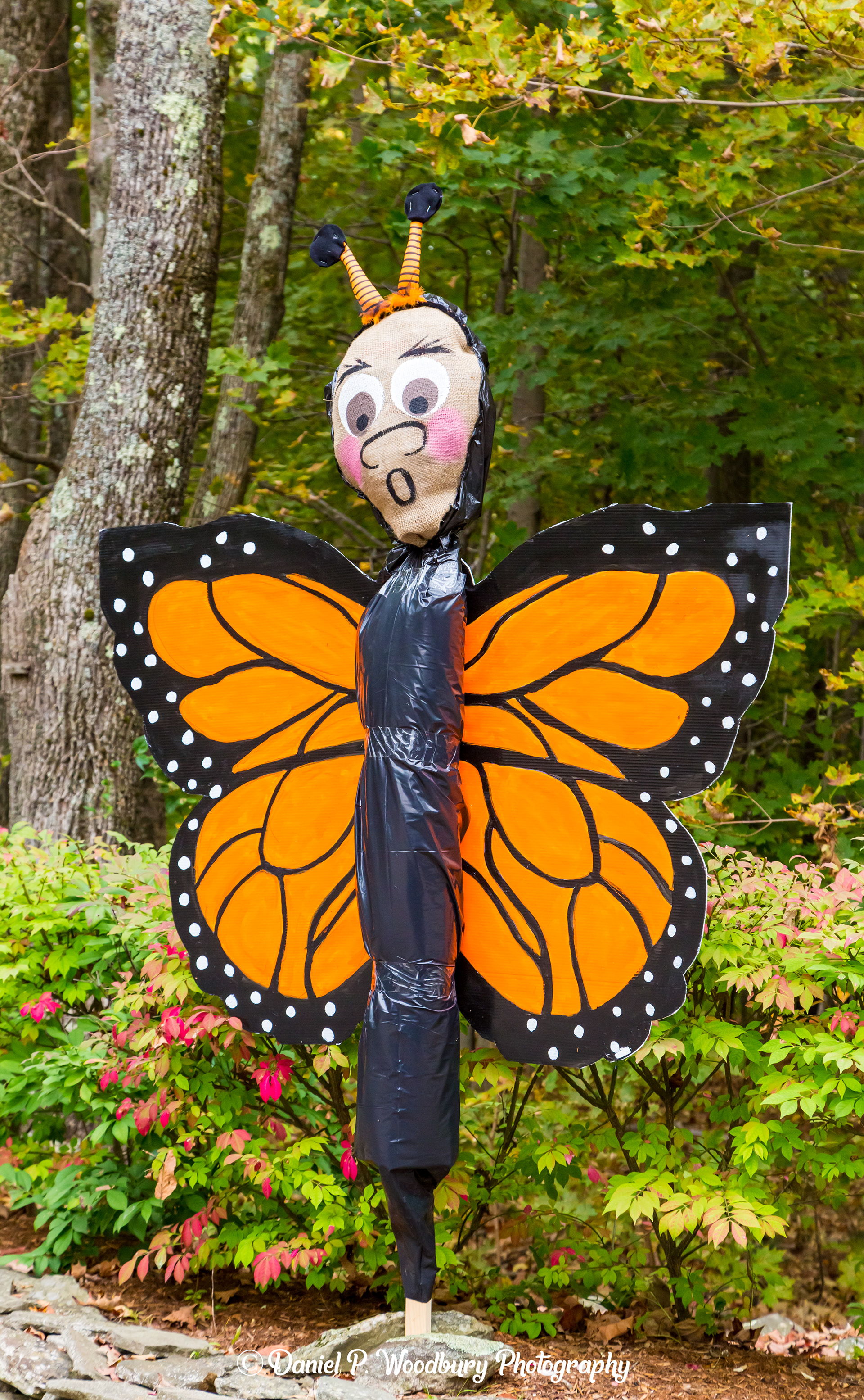 Butterfly Scarecrow