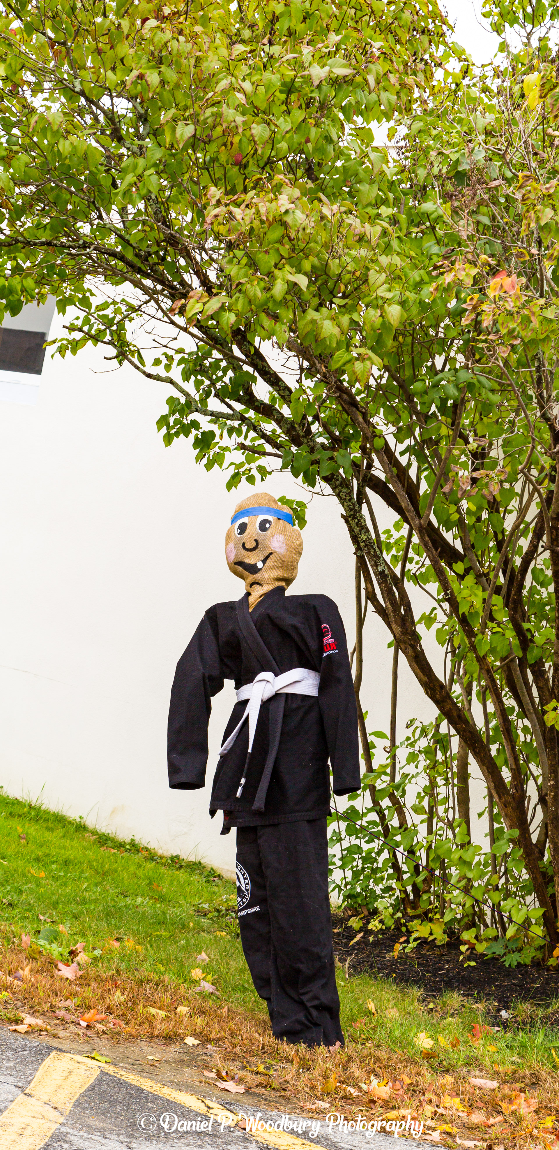 Karate Scarecrow