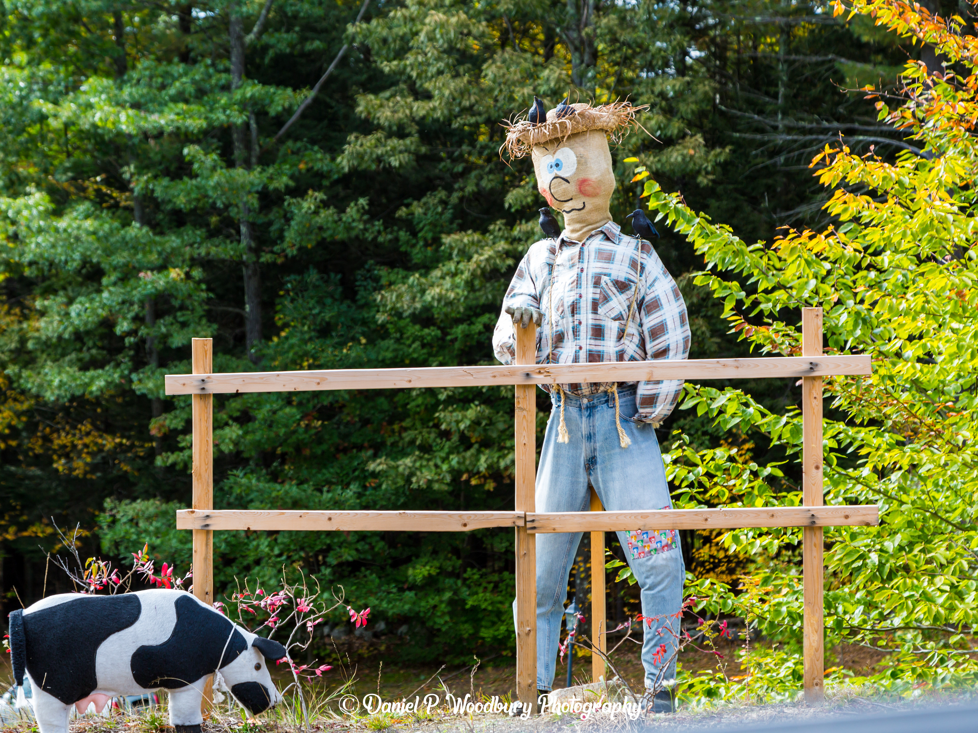 Farmer Scarecrow