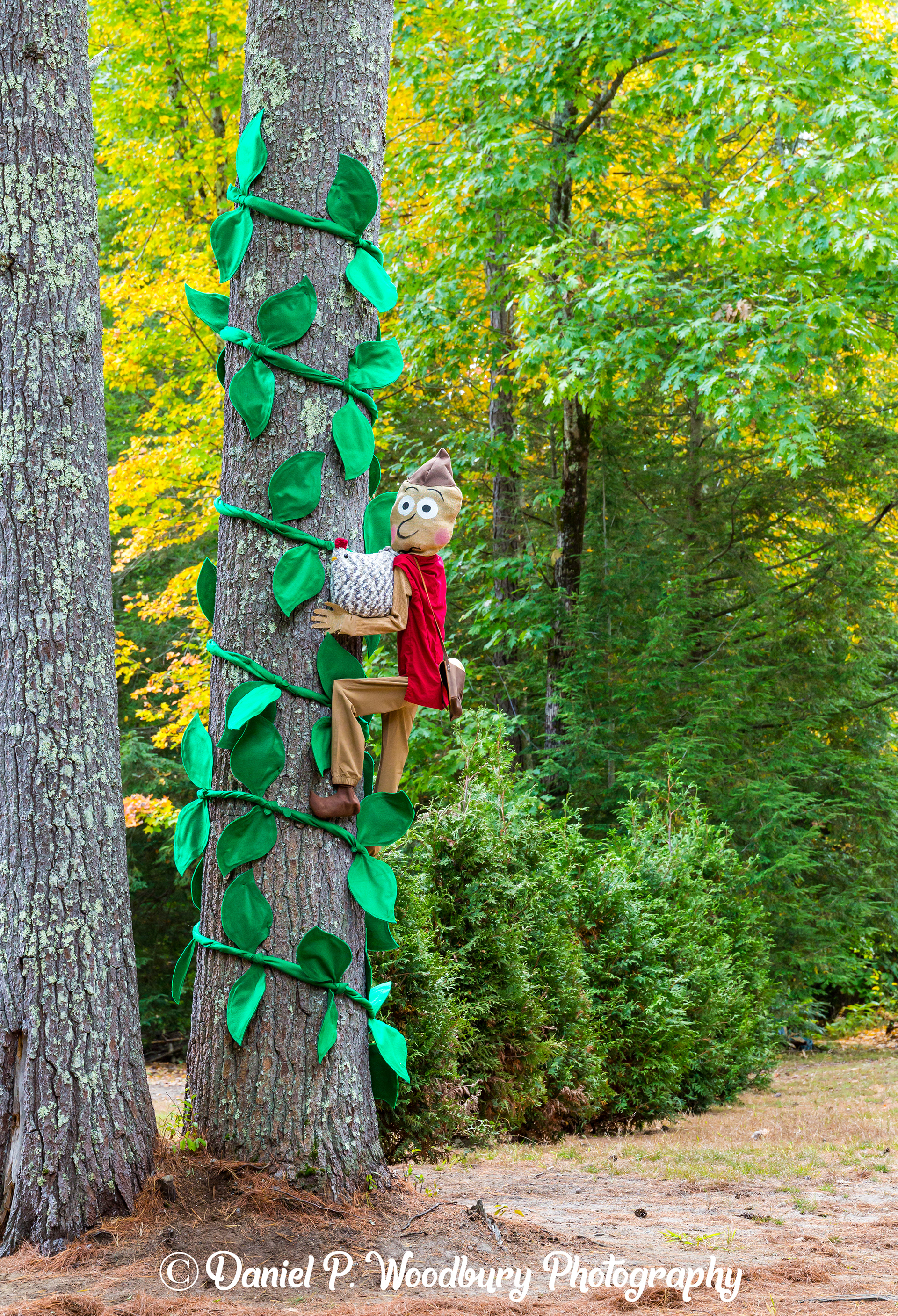 Jack & The Beanstock Scarecrow
