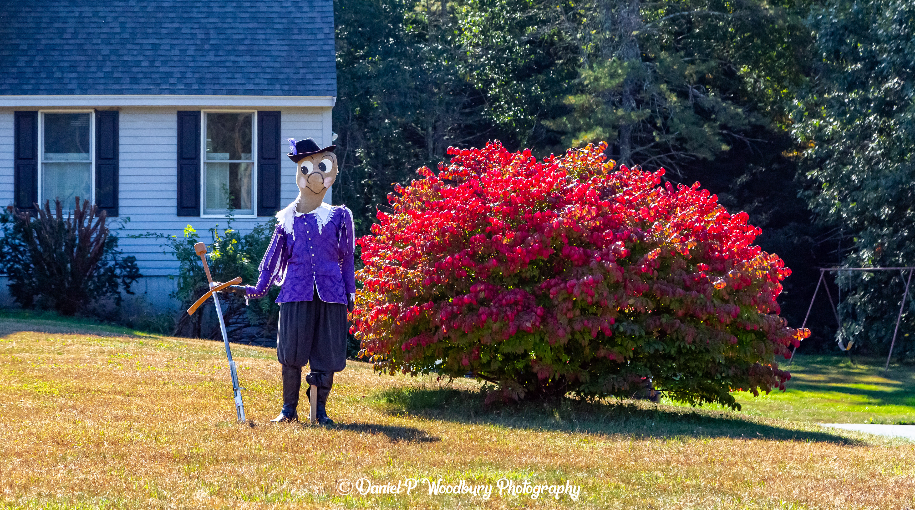 One Musketeer Scarecrow
