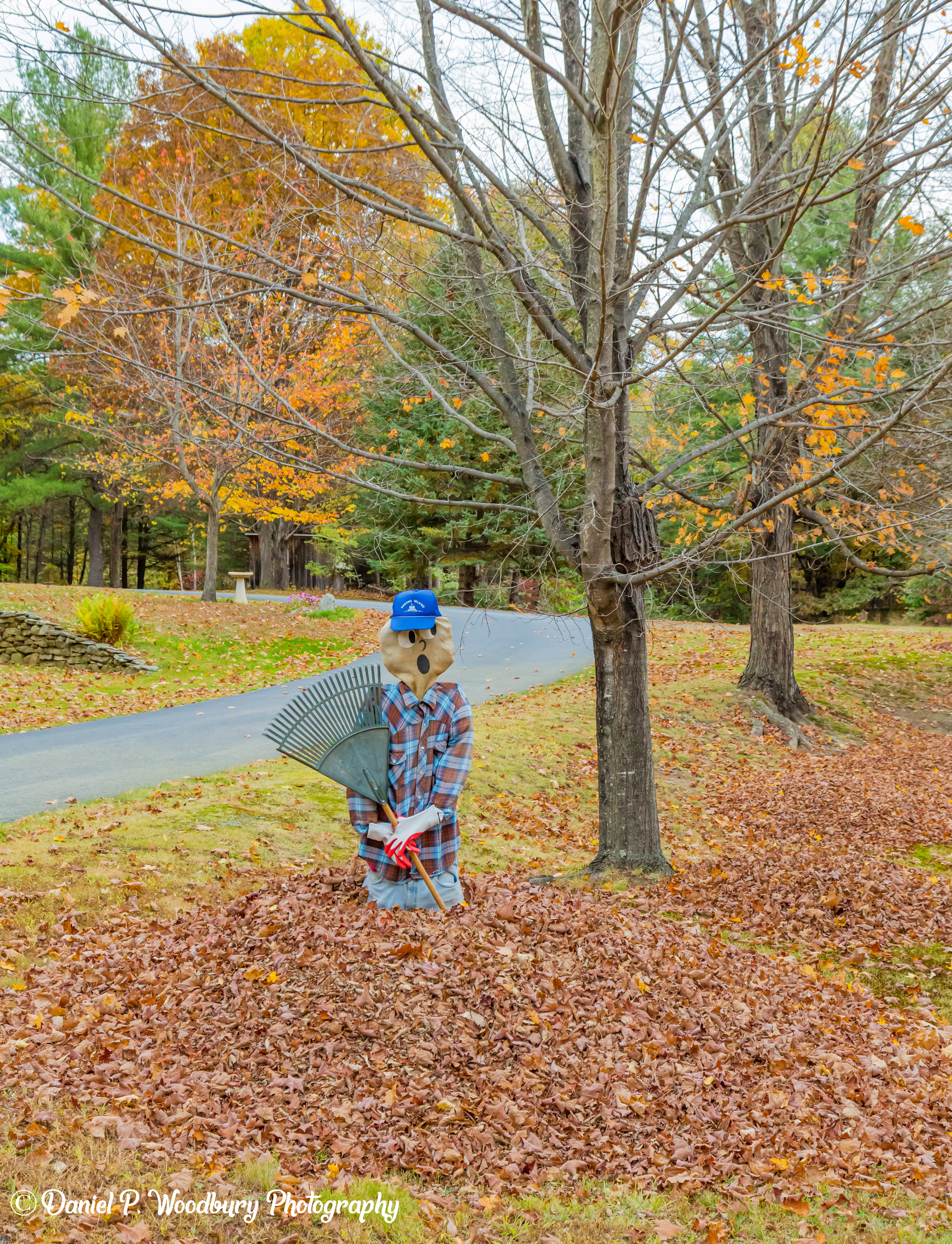 Leaf Rakin' Scarecrow