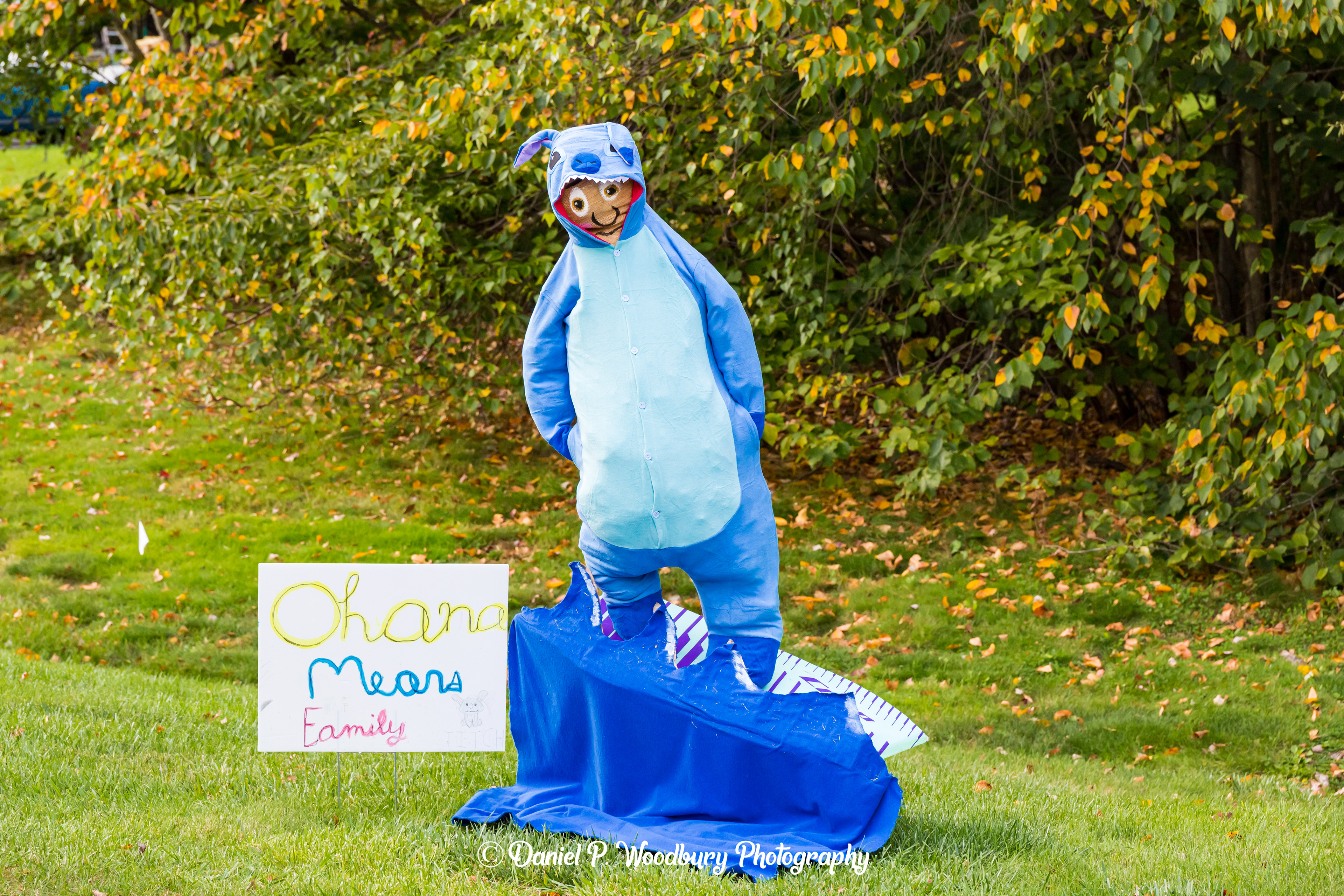 Stitch Scarecrow