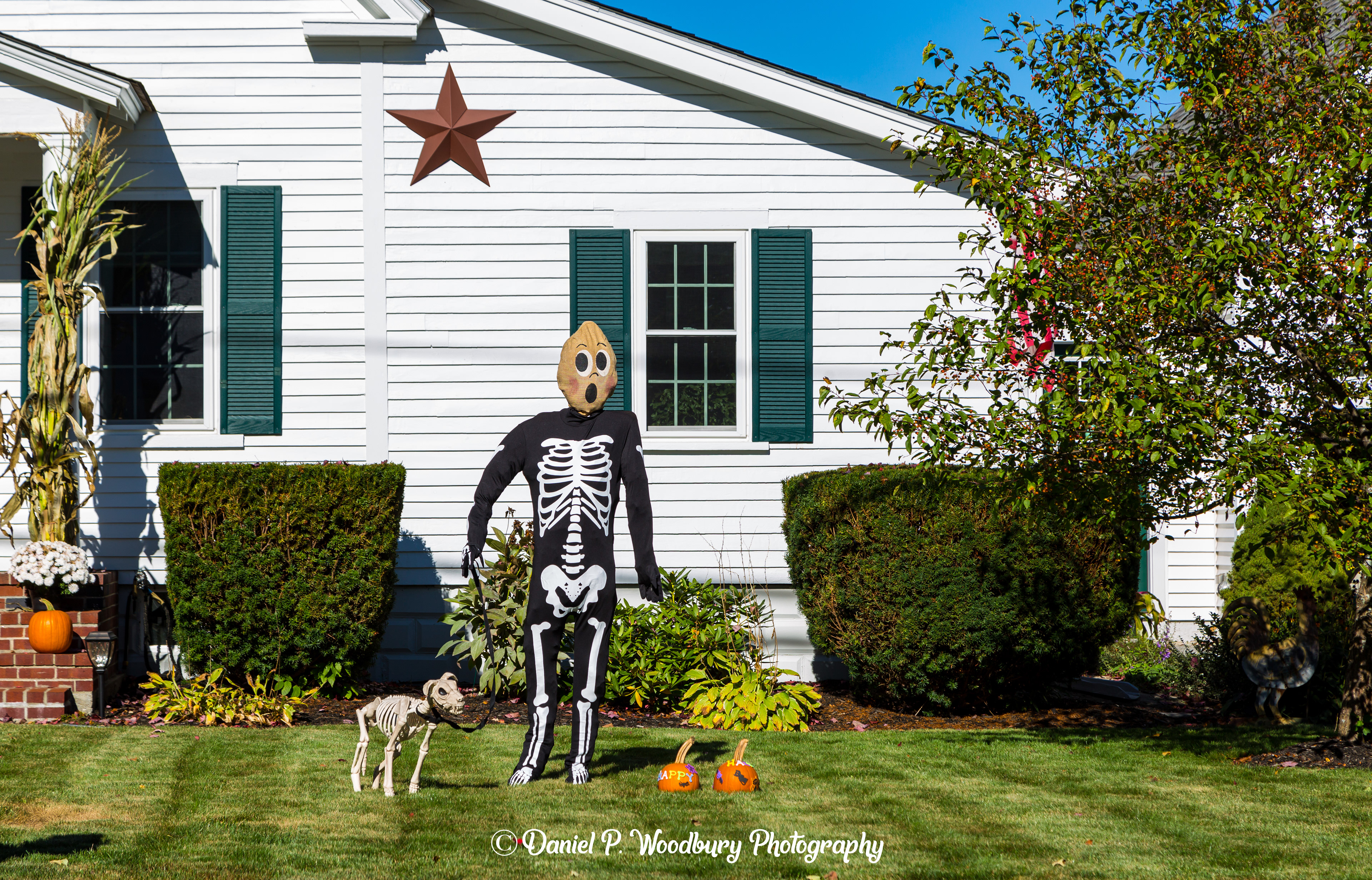 Skeleton Scarecrow