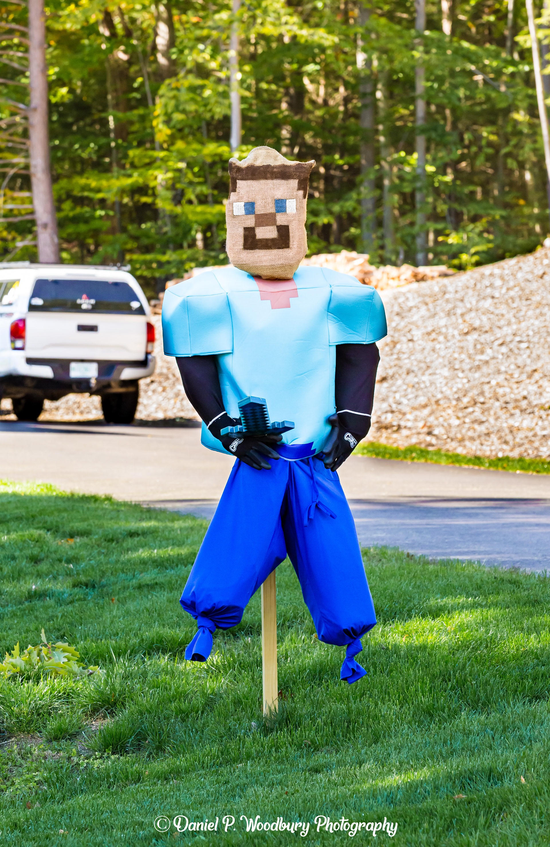 Steve, From Minecraft Scarecrow