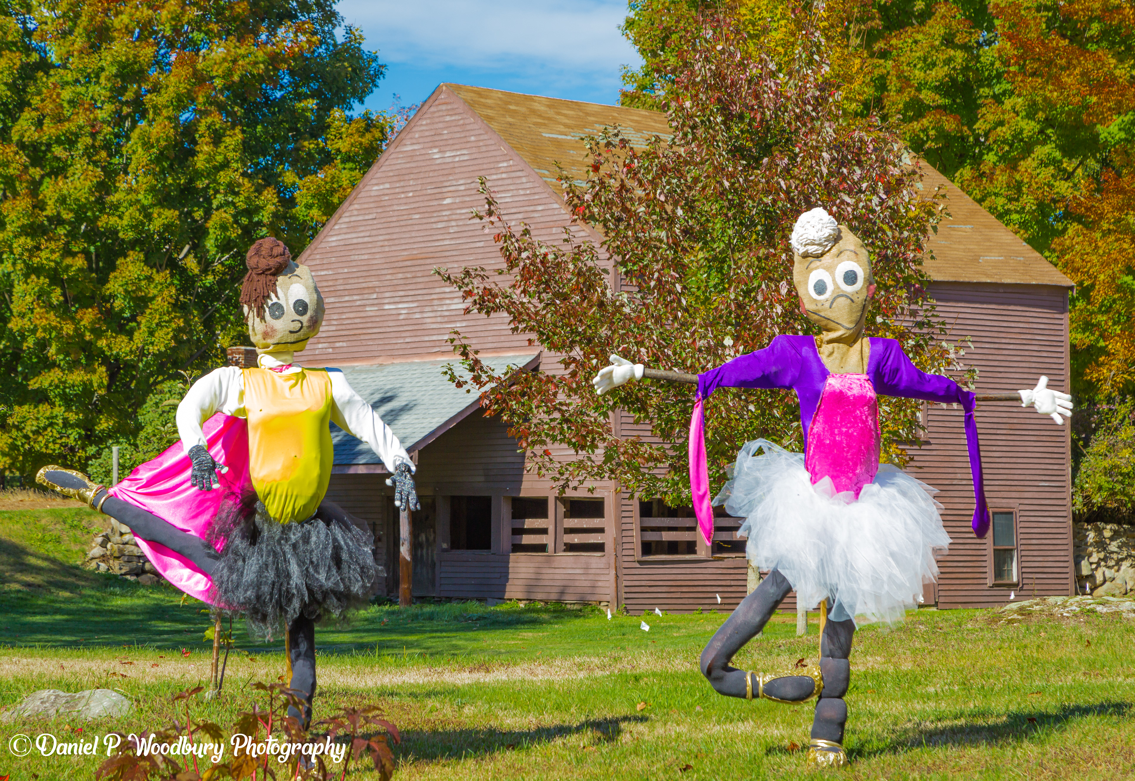 Ballerina Scarecrows