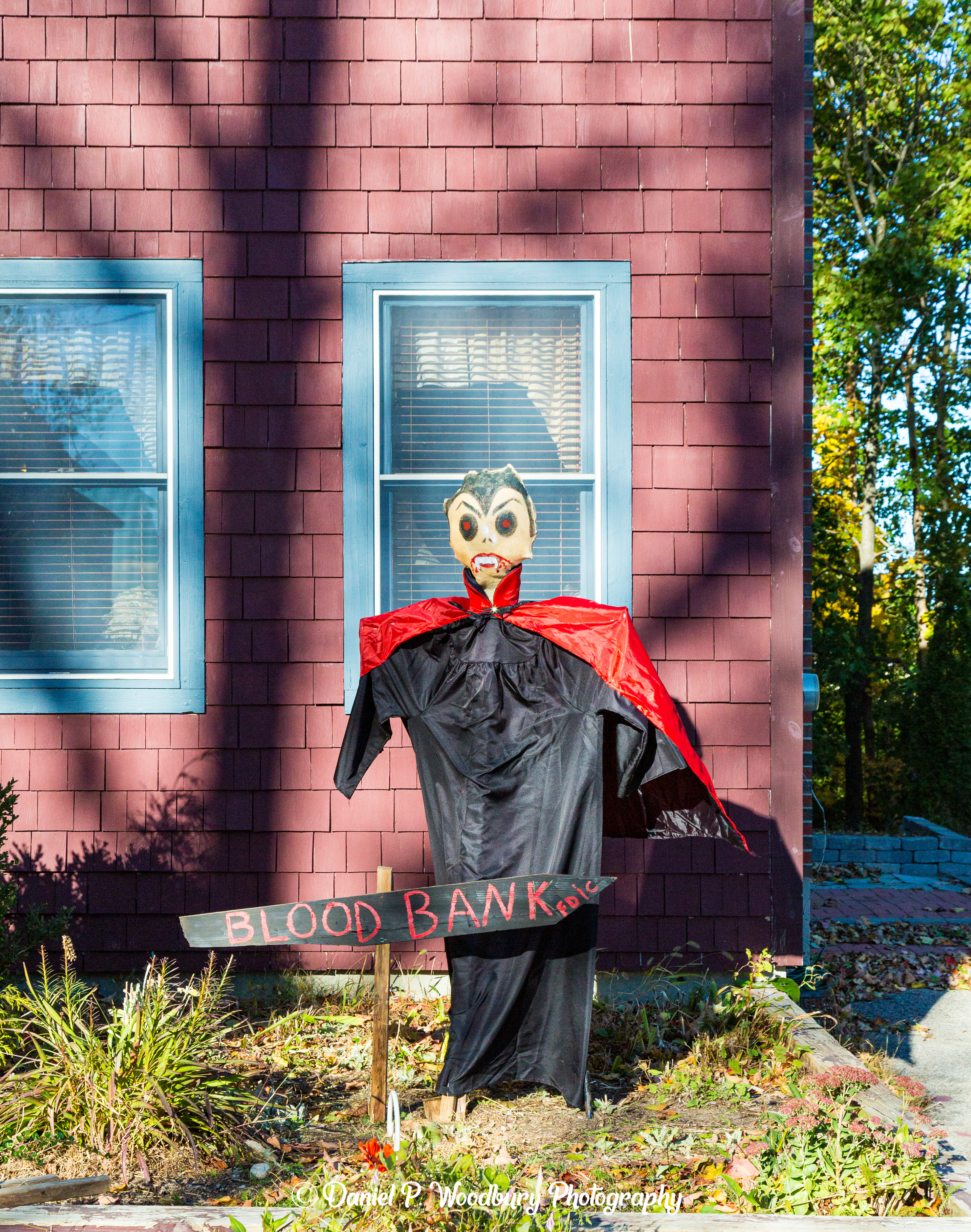 Count Dracula Scarecrow