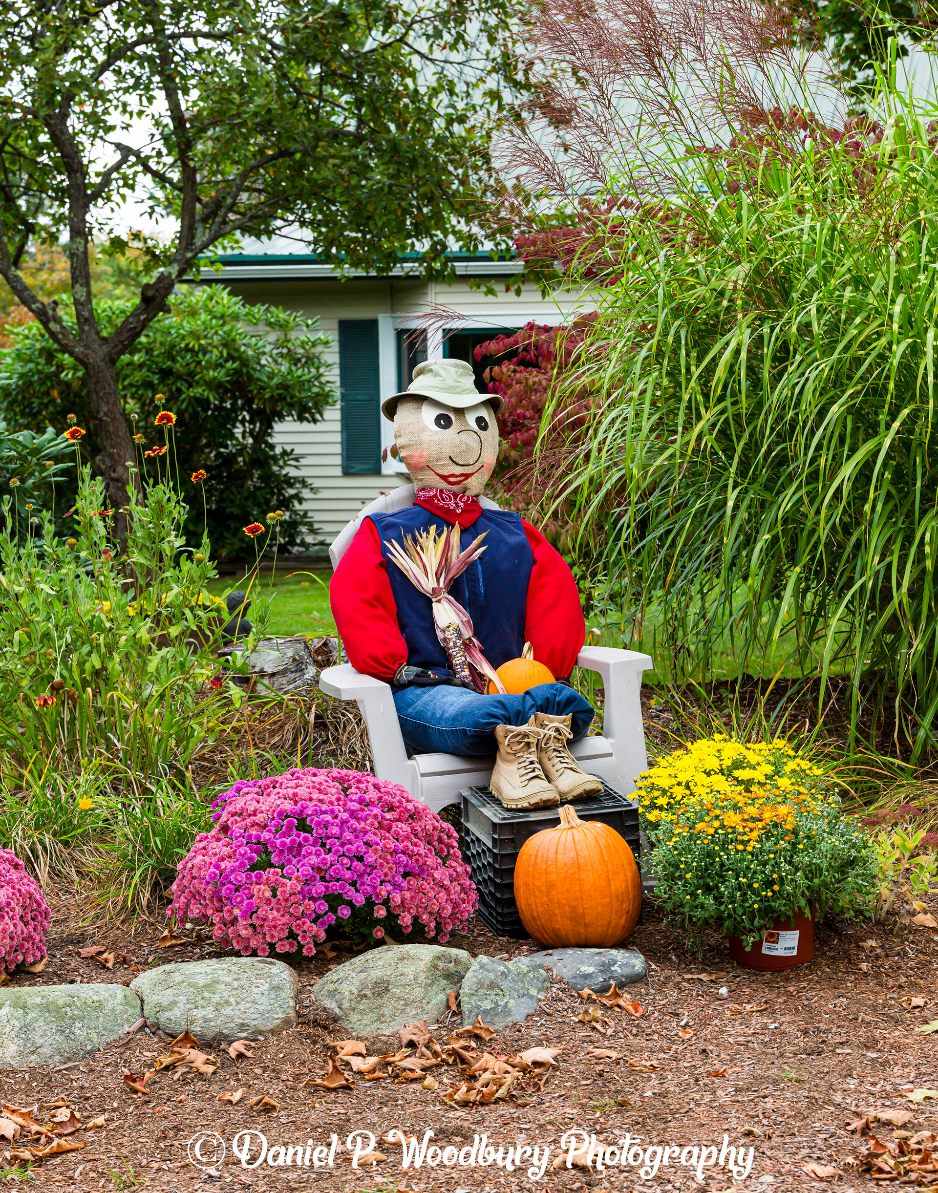 Lil's Scarecrow