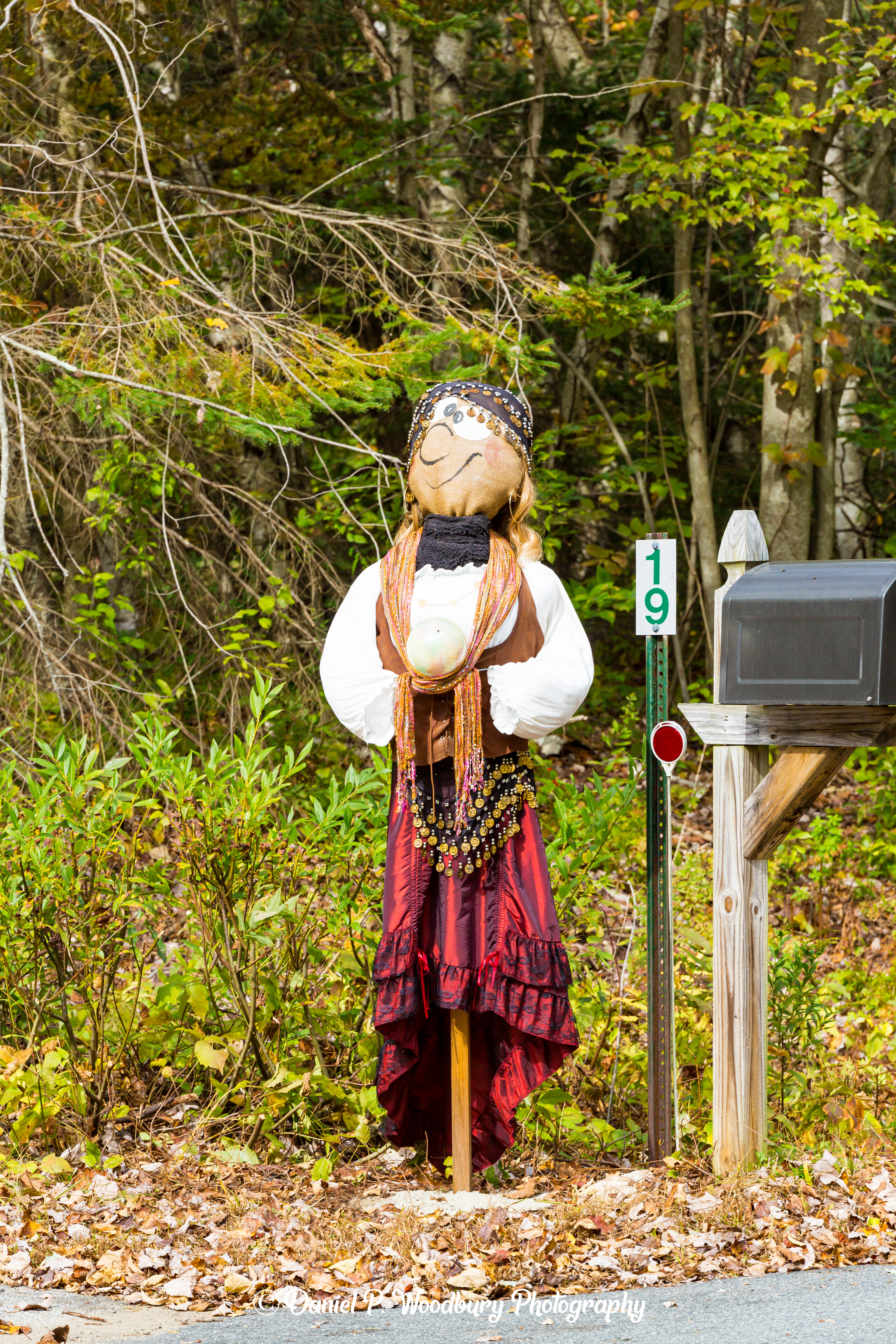 Fortune Tellin' Scarecrow
