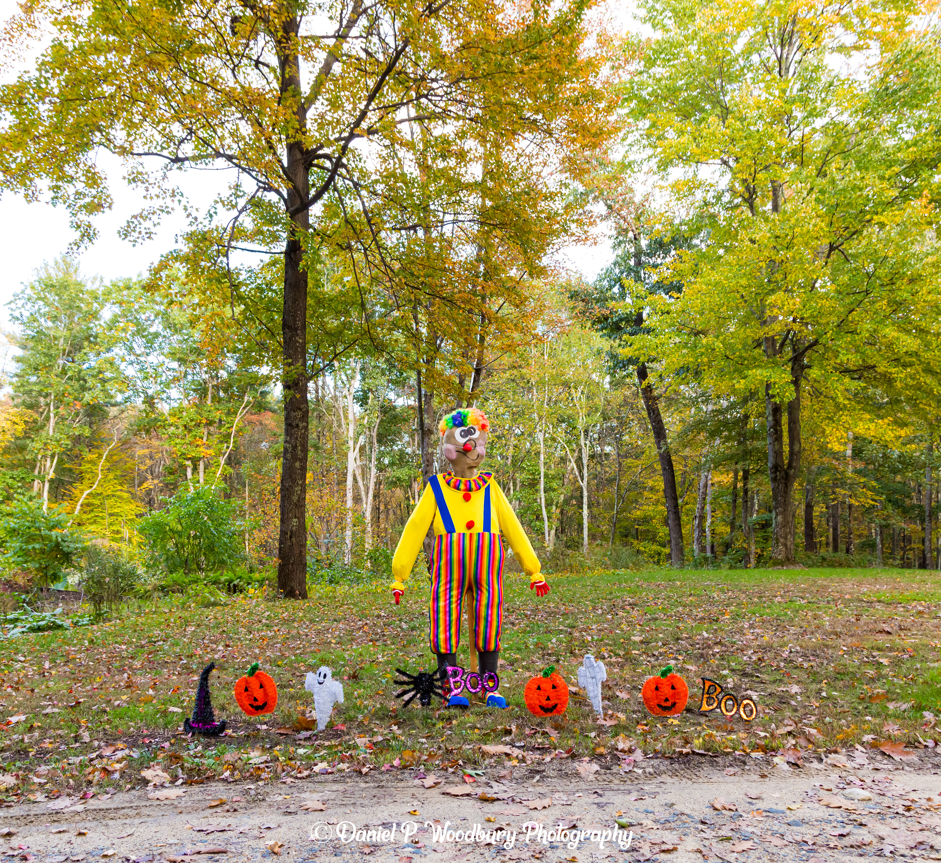 Clown Scarecrow