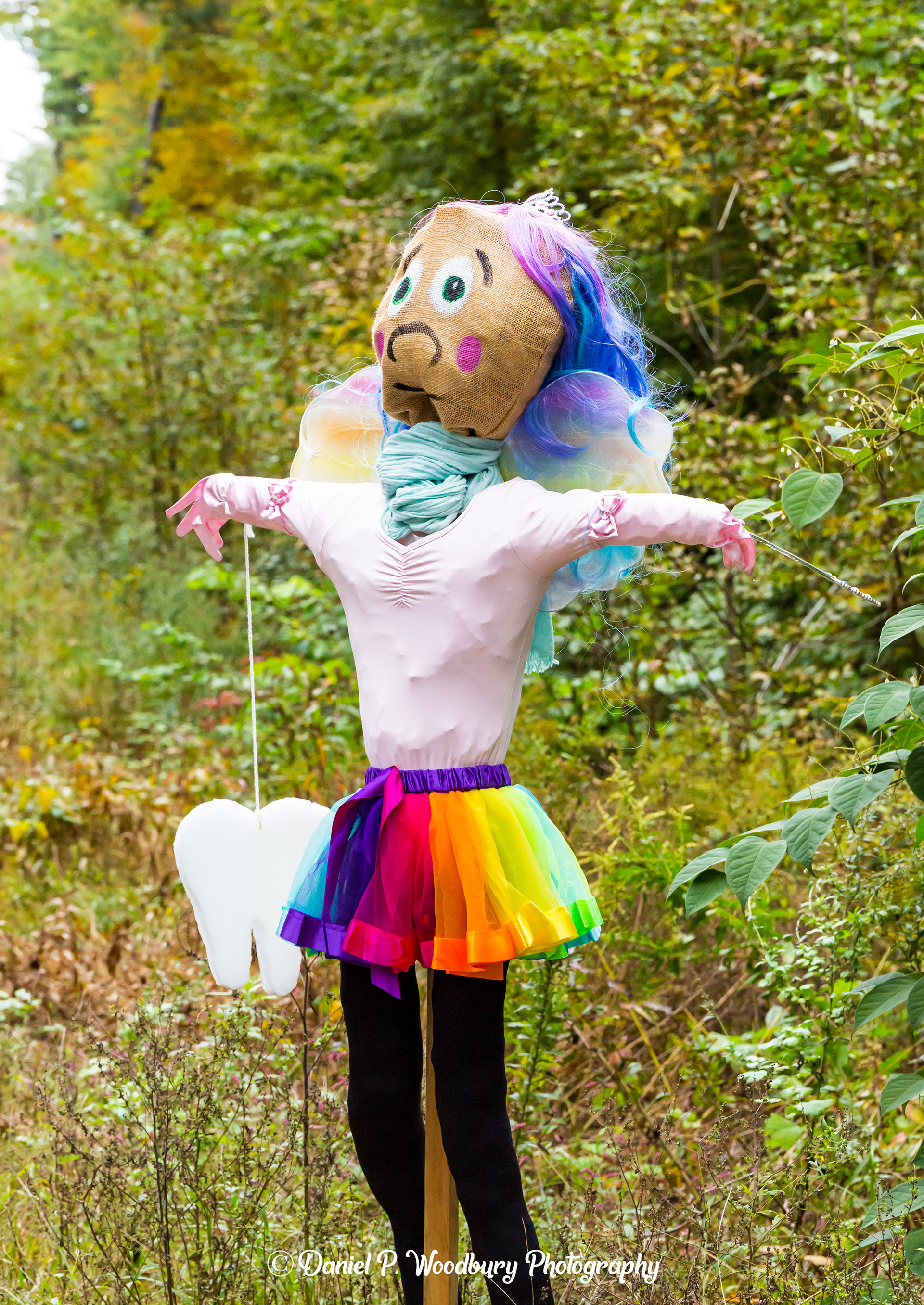 The Tooth Fairy Scarecrow