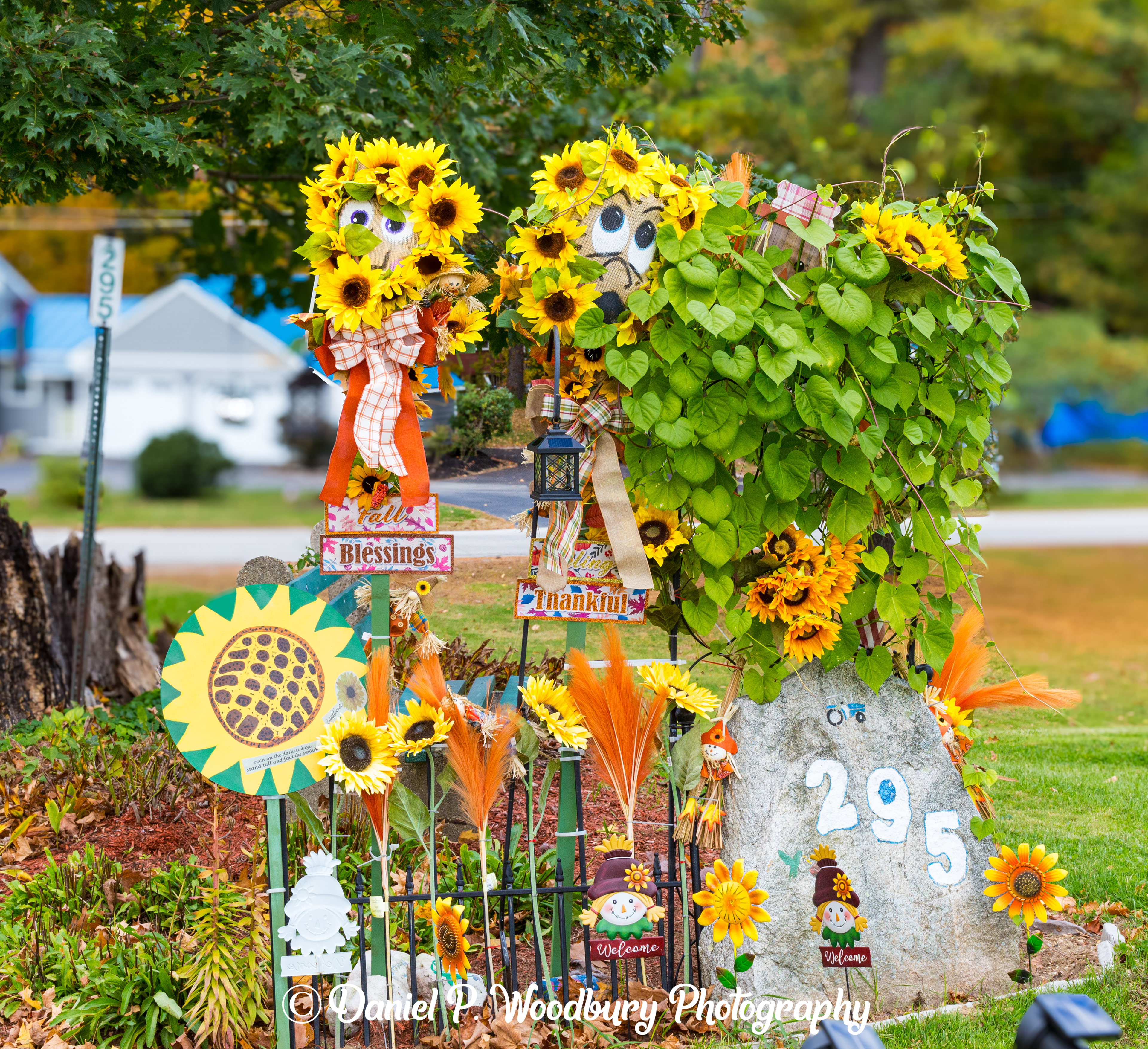 Sunflower Scarecrows