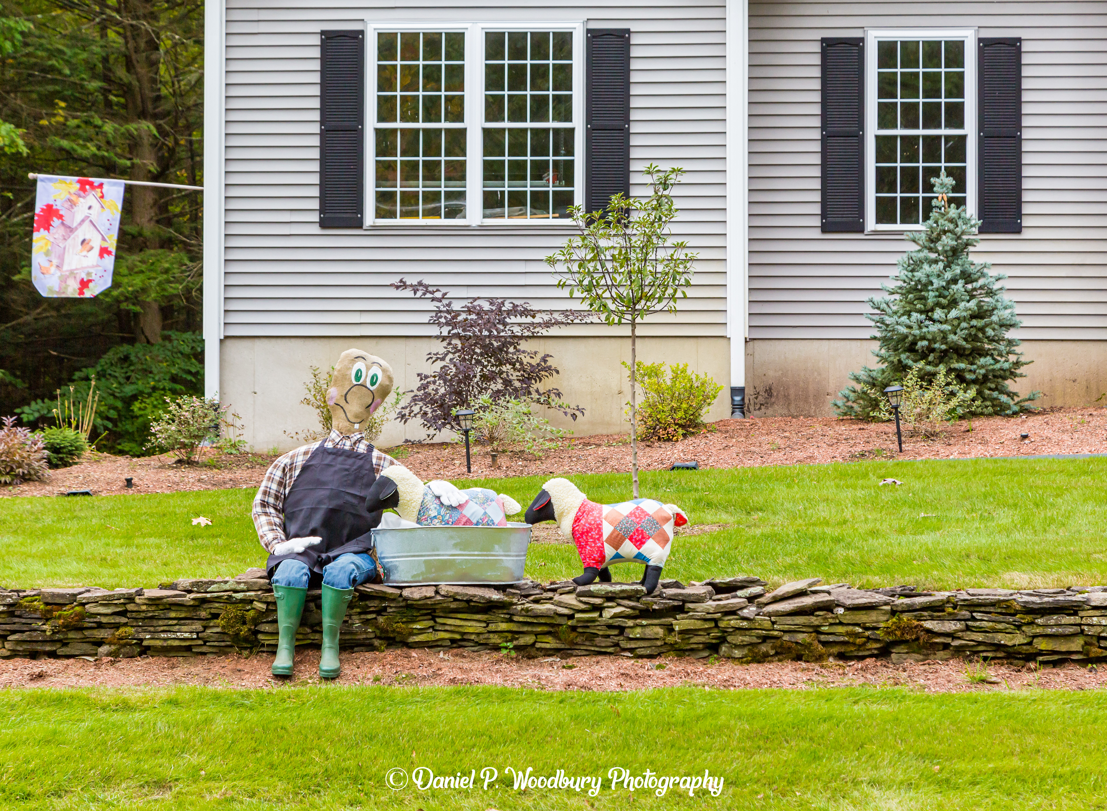 Sheep Washin' Scarecrow
