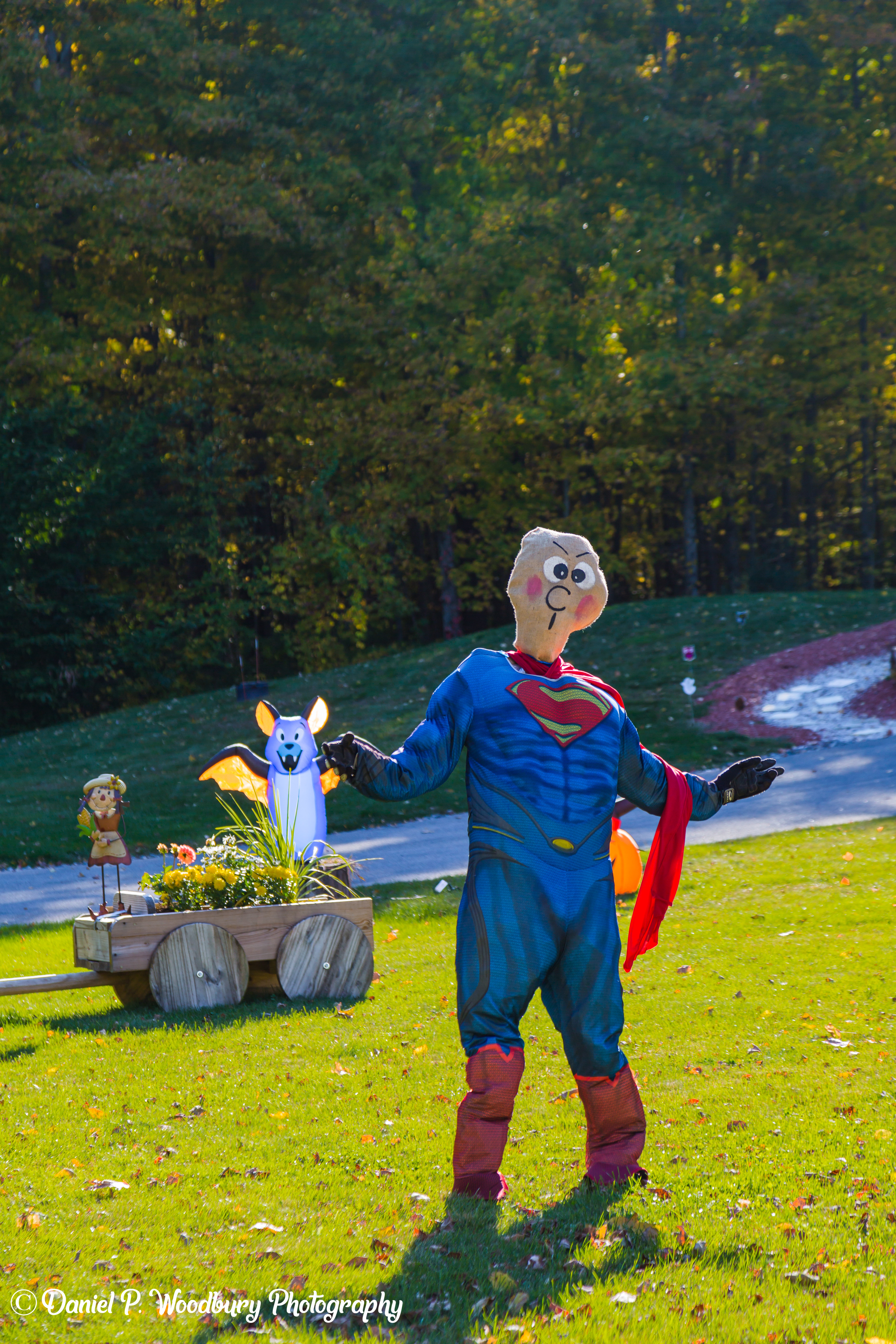 Superman Scarecrow