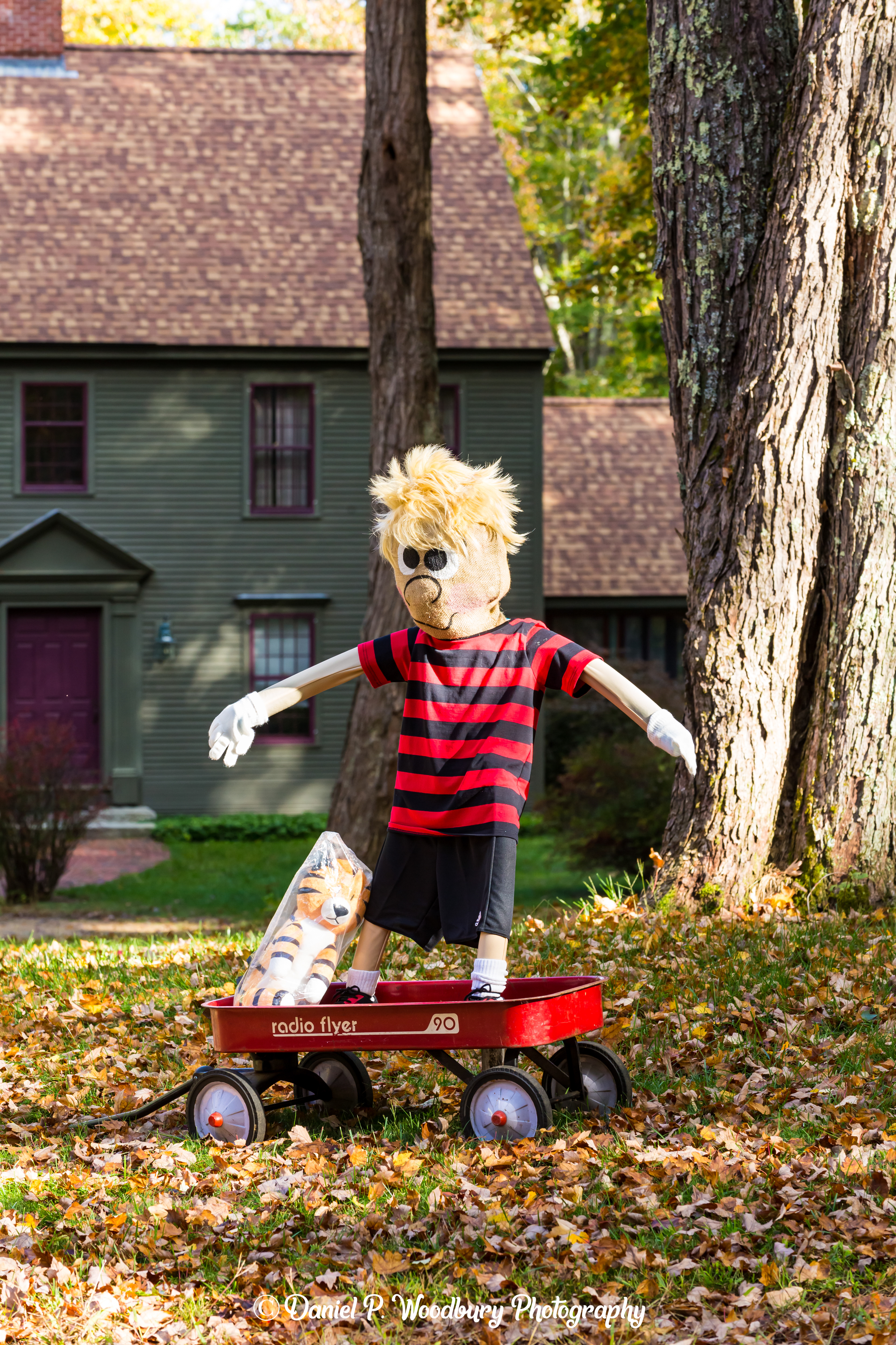 Radio Flyin' Scarecrow